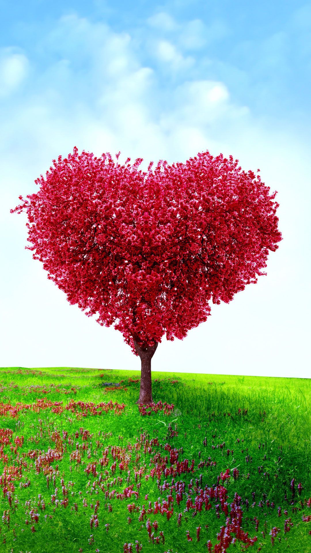 Heart Tree Images Wallpapers