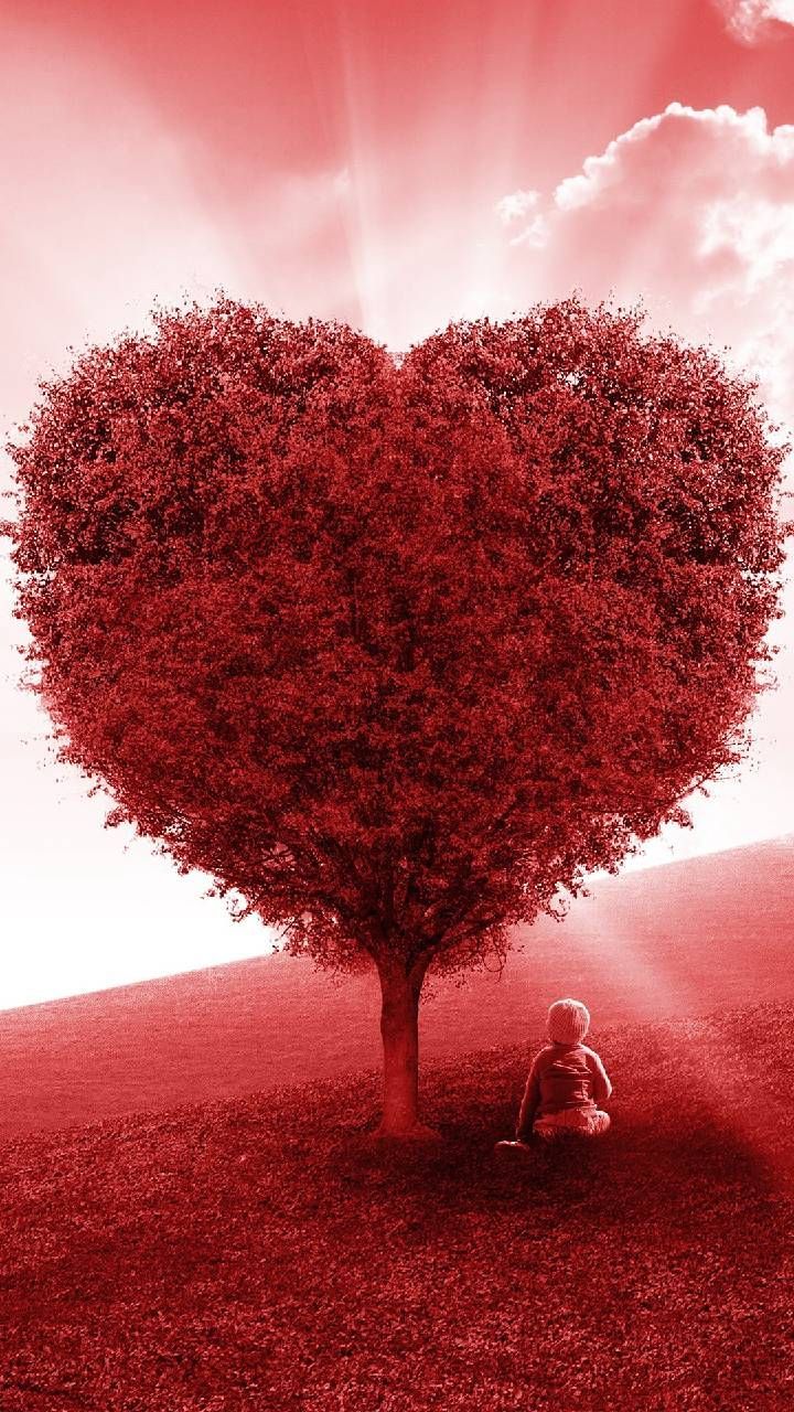 Heart Tree Images Wallpapers