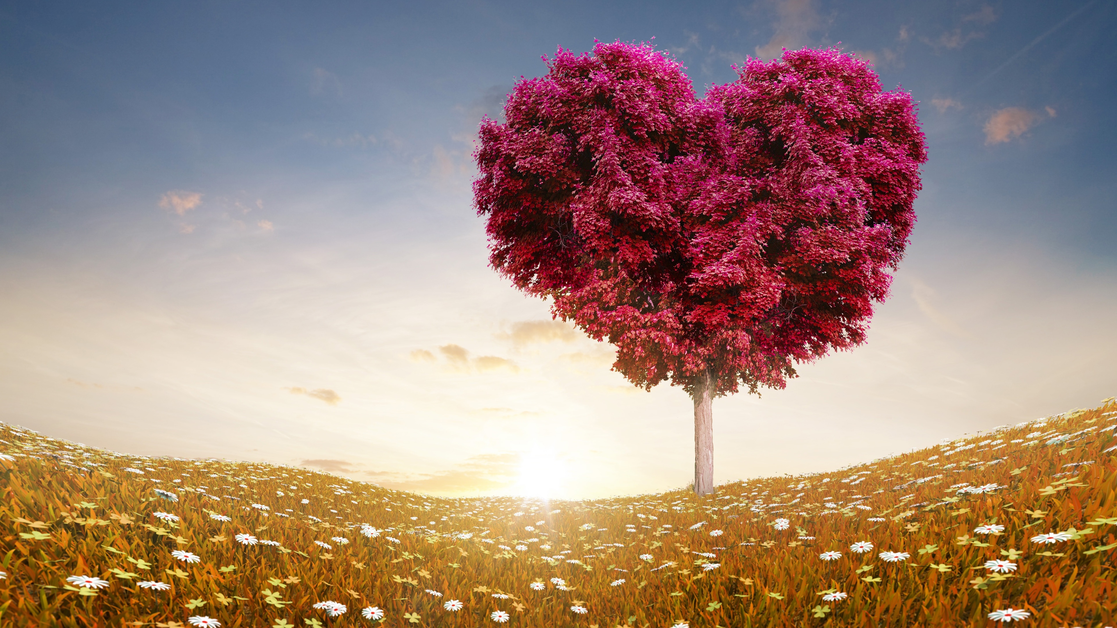 Heart Tree Images Wallpapers