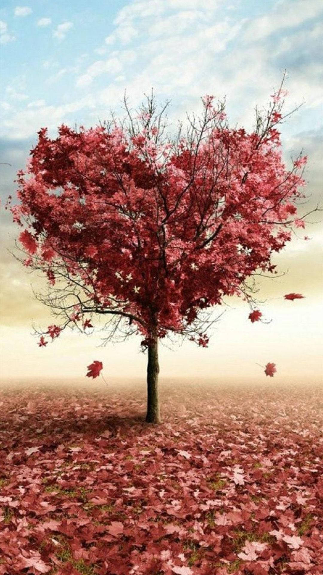 Heart Tree Images Wallpapers