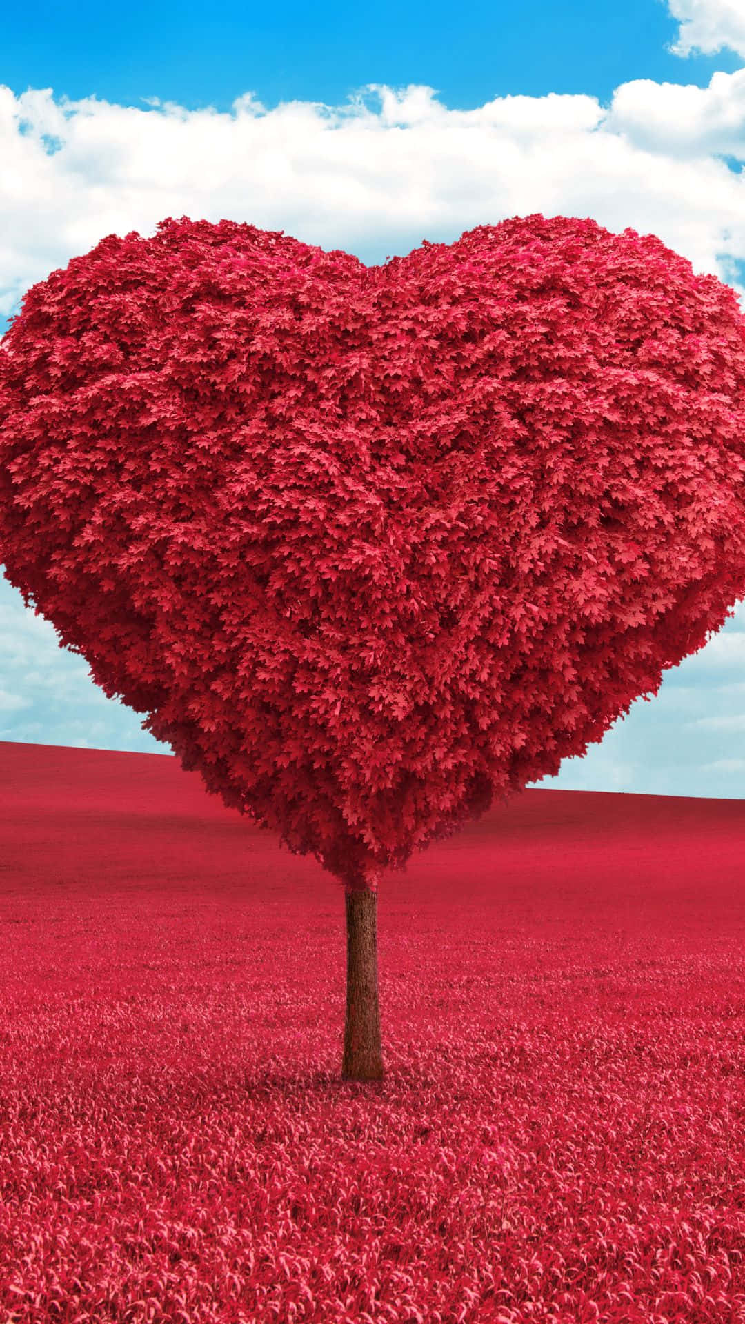 Heart Tree Images Wallpapers