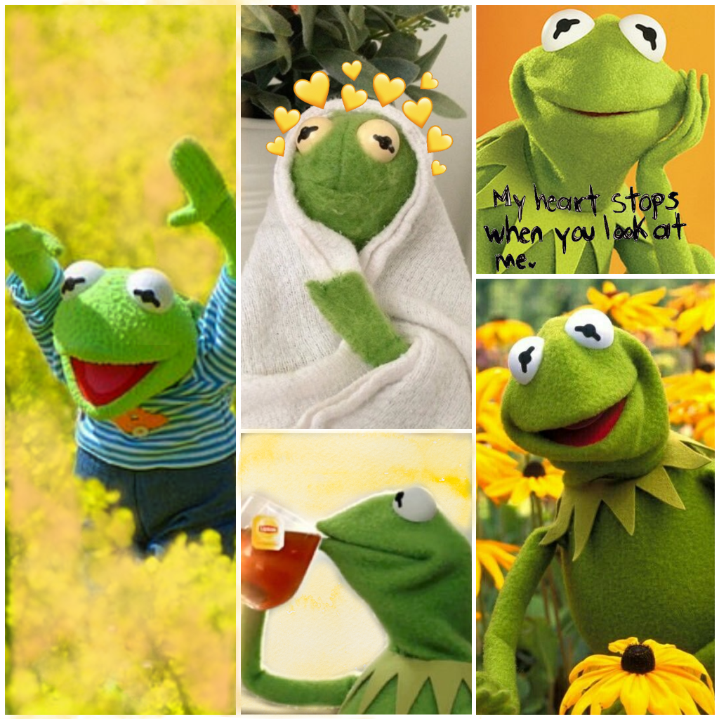 Hearts Kermit The Frog Wallpapers