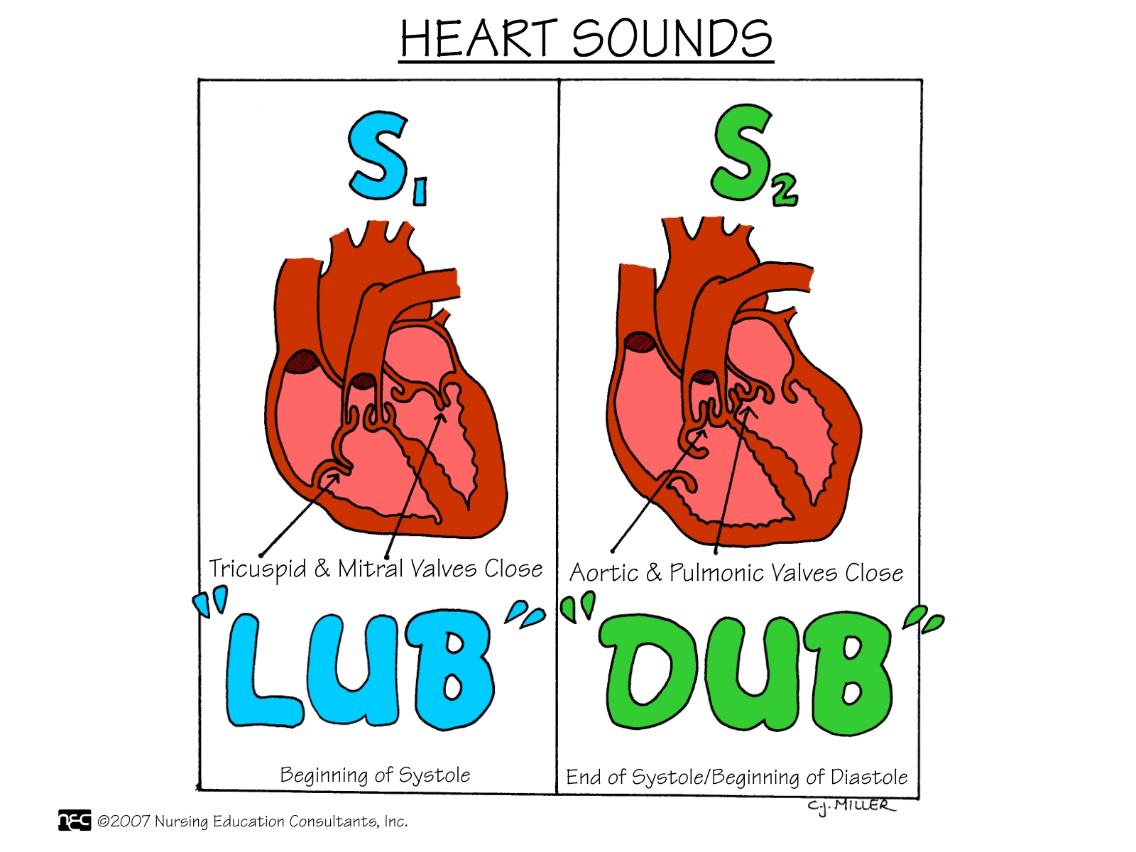 Heartsounds Wallpapers