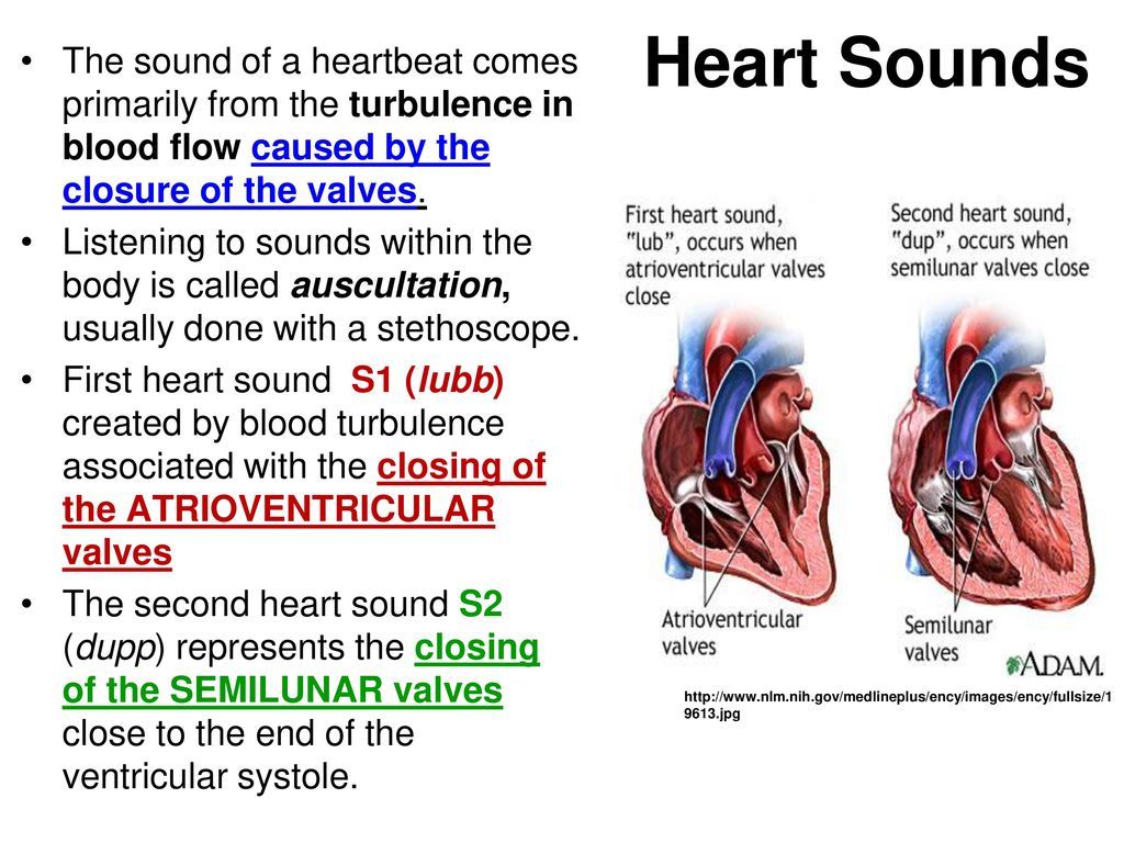 Heartsounds Wallpapers