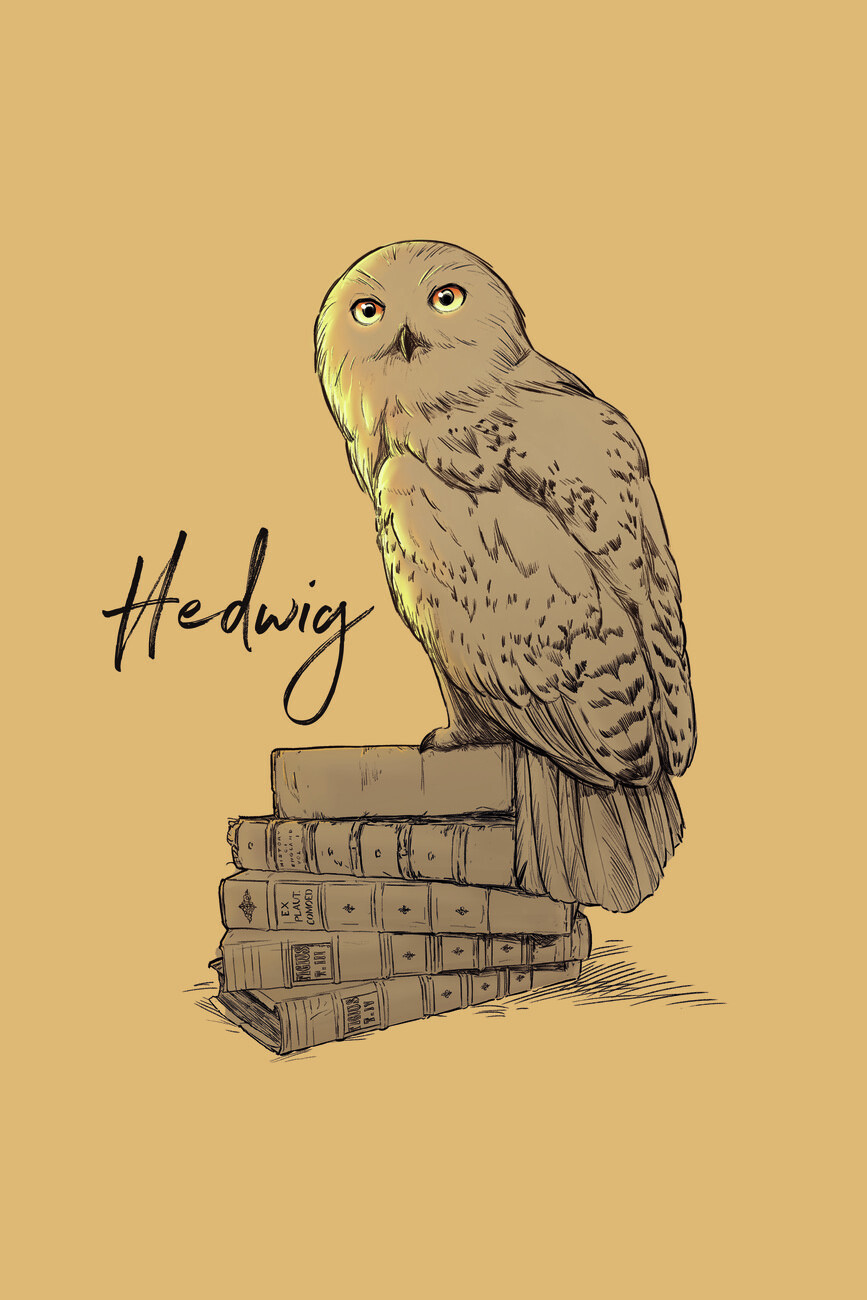 Hedwig Wallpapers