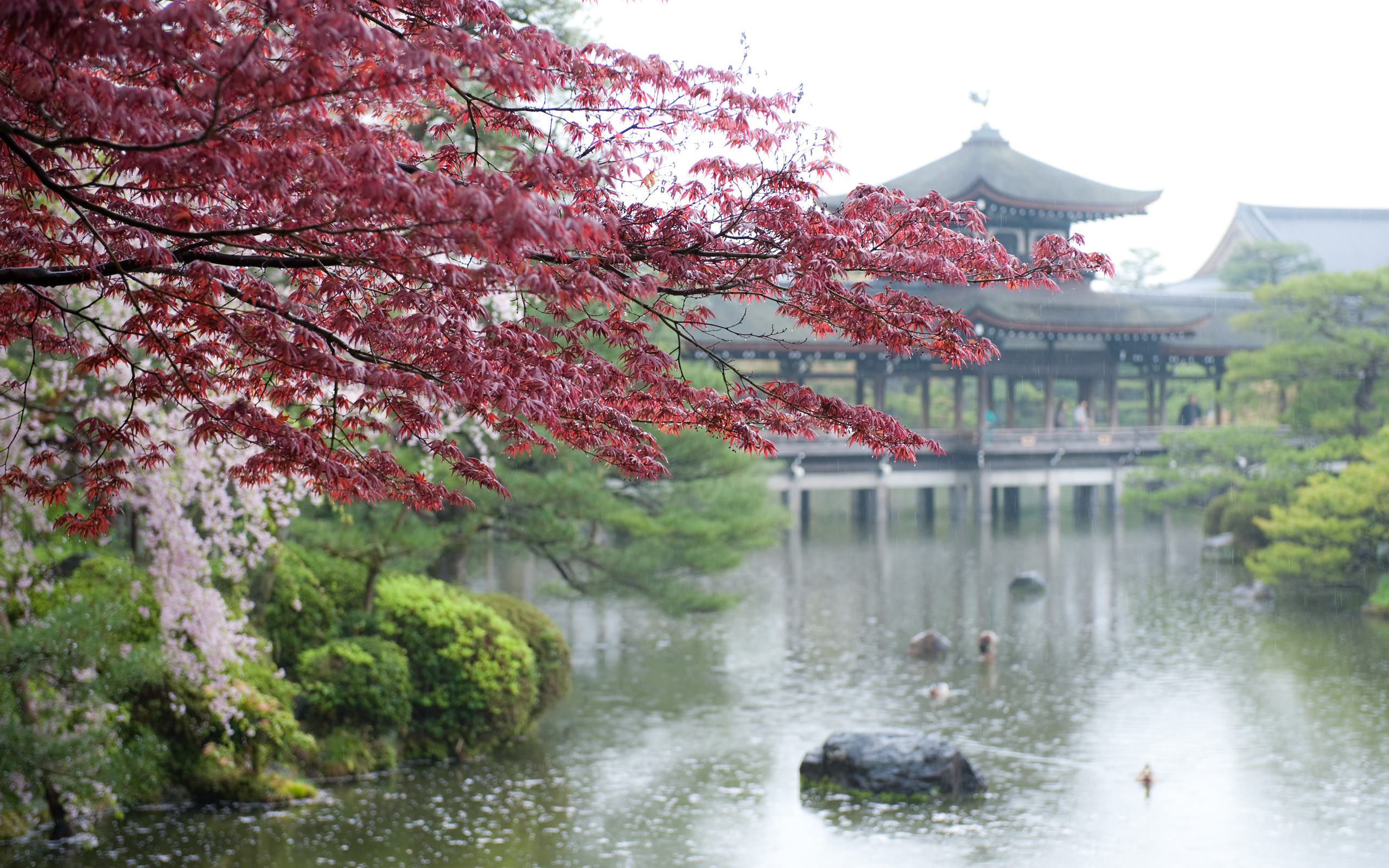 Heian Shrine Wallpapers