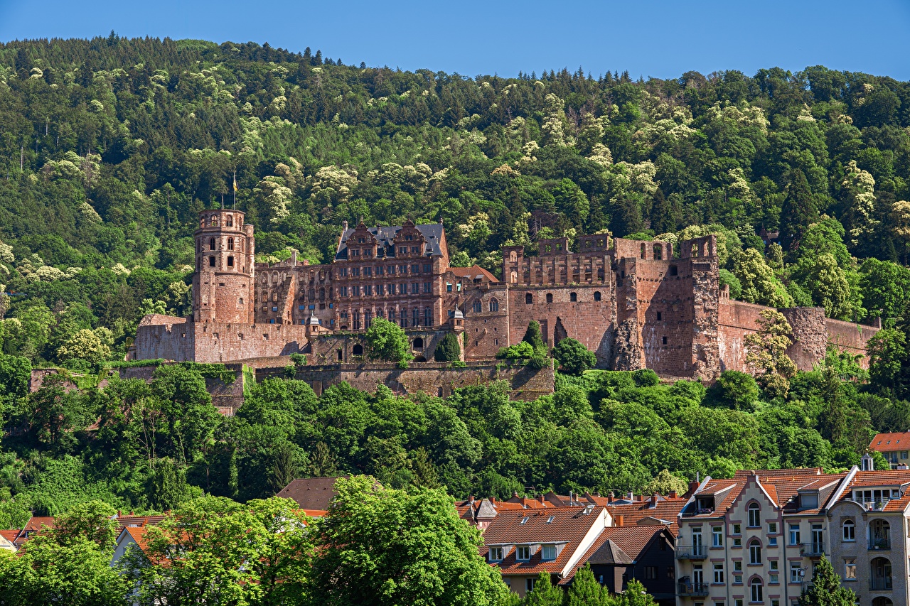 Heidelberg Castle Wallpapers