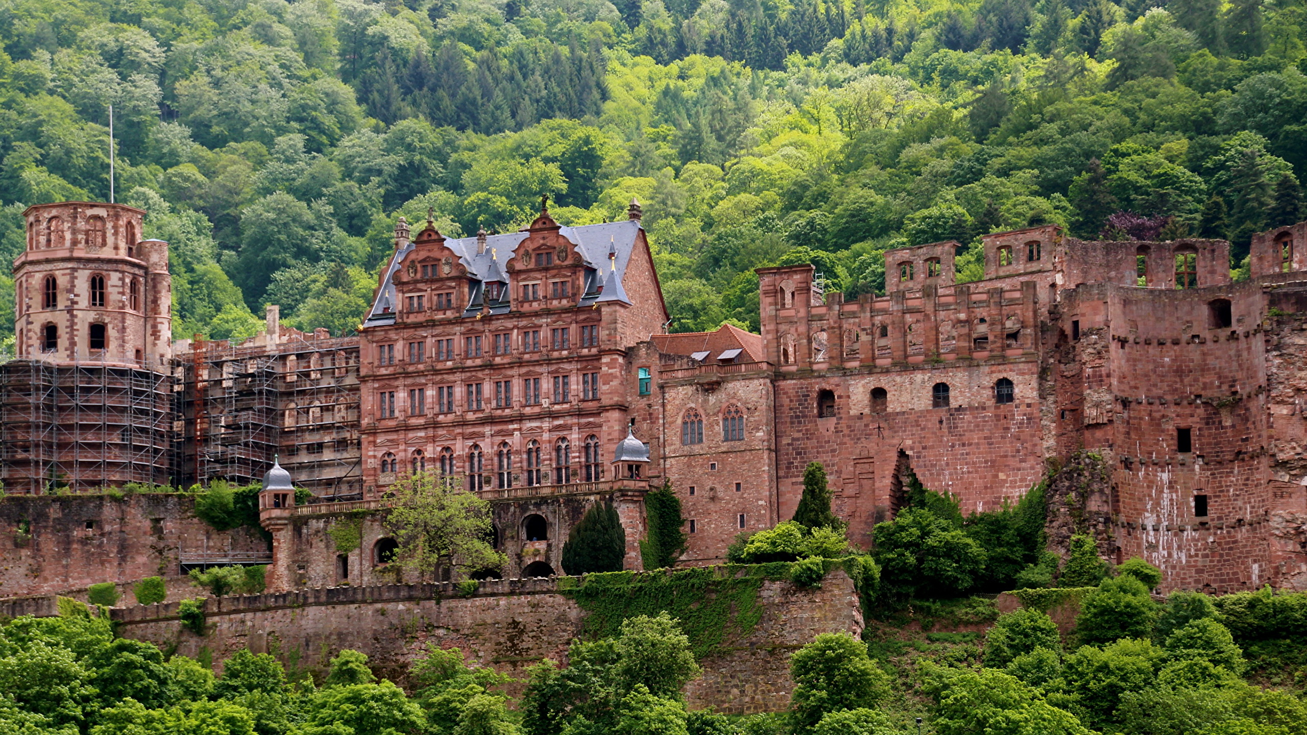 Heidelberg Castle Wallpapers