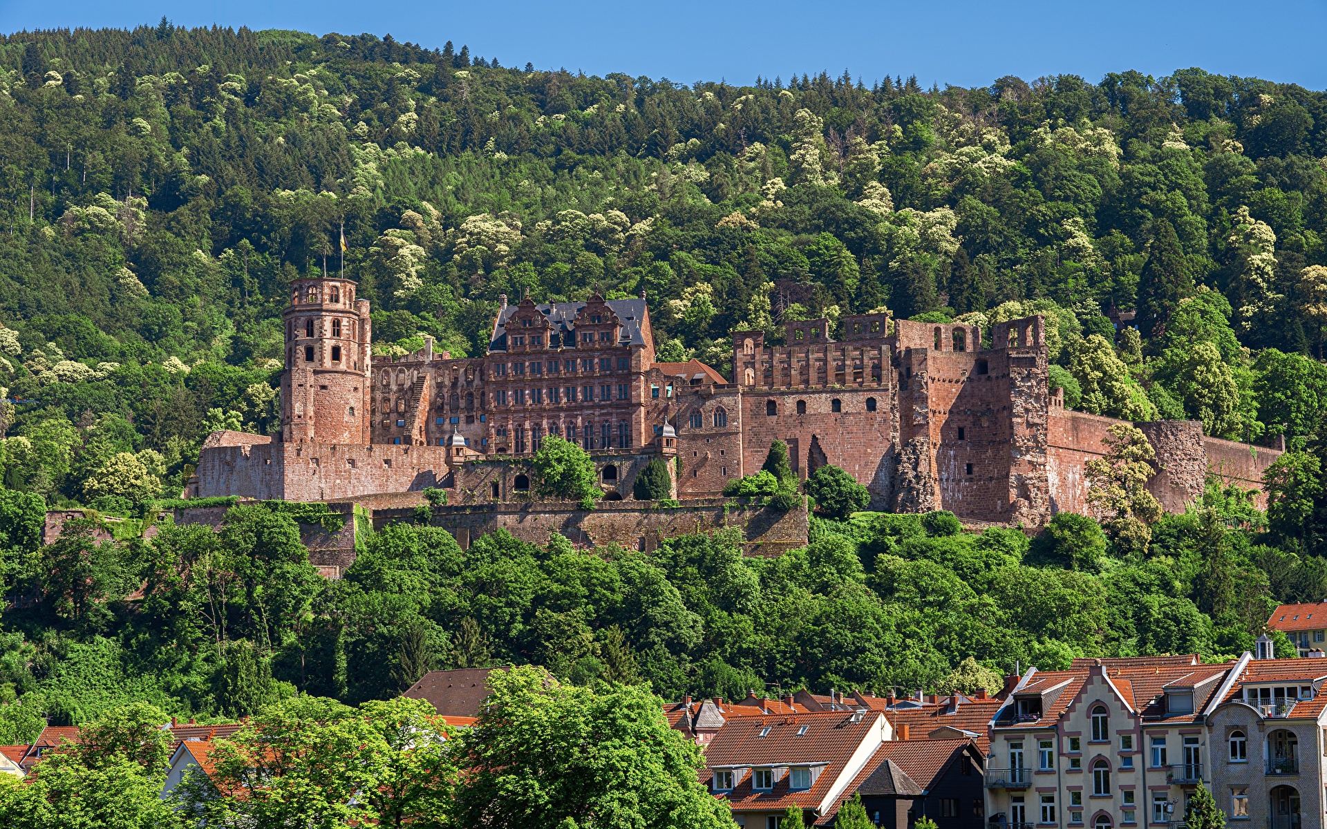 Heidelberg Castle Wallpapers