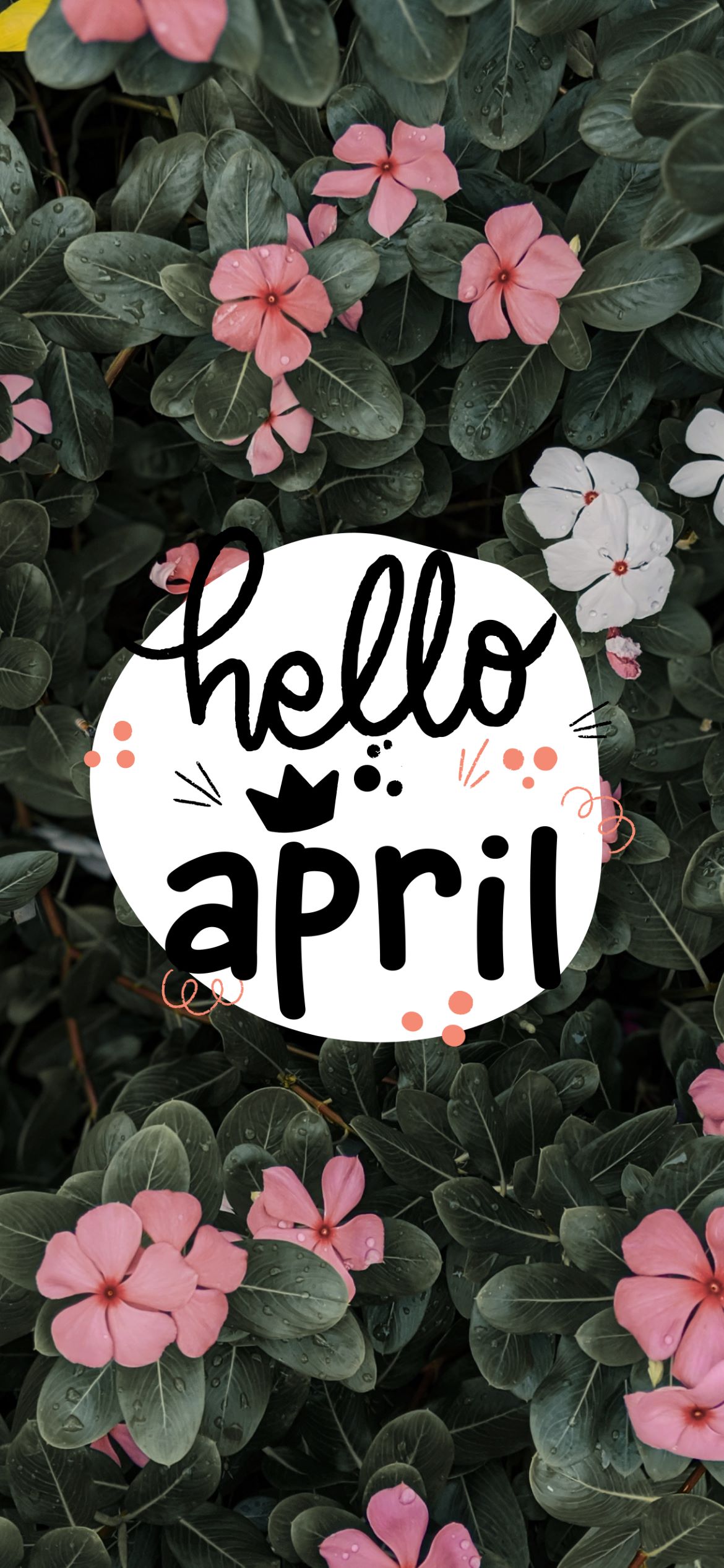 Hello April Wallpapers