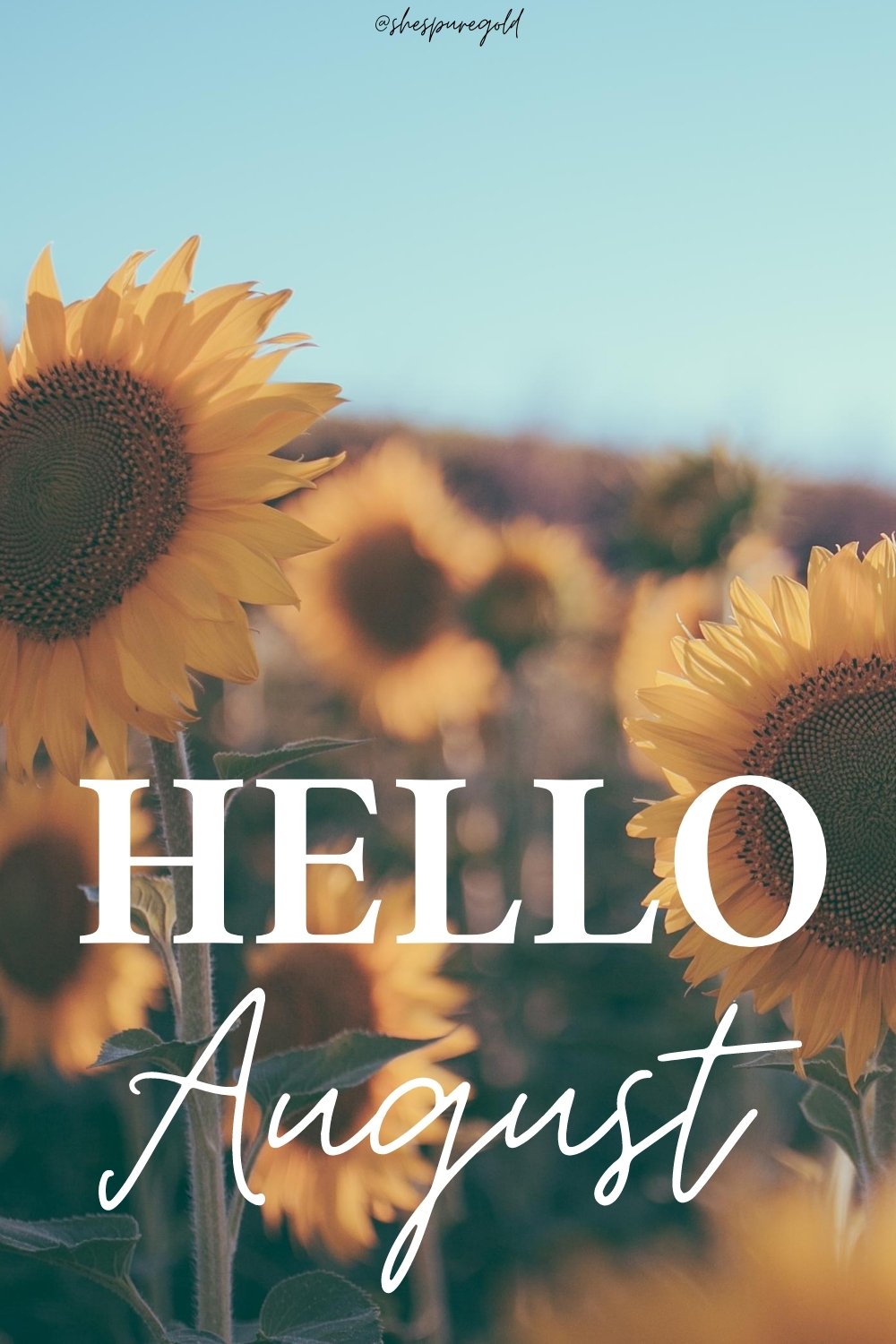 Hello August Images Wallpapers