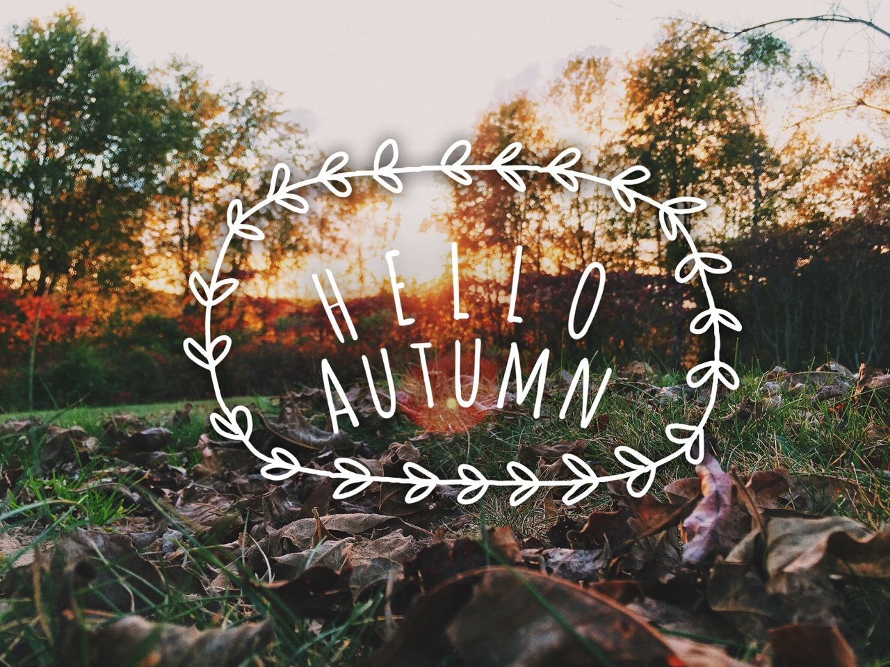 Hello Autumn Wallpapers