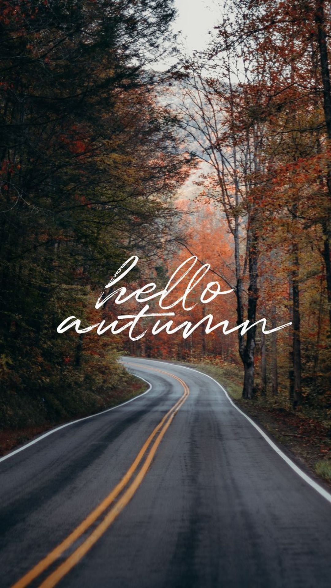 Hello Autumn Wallpapers