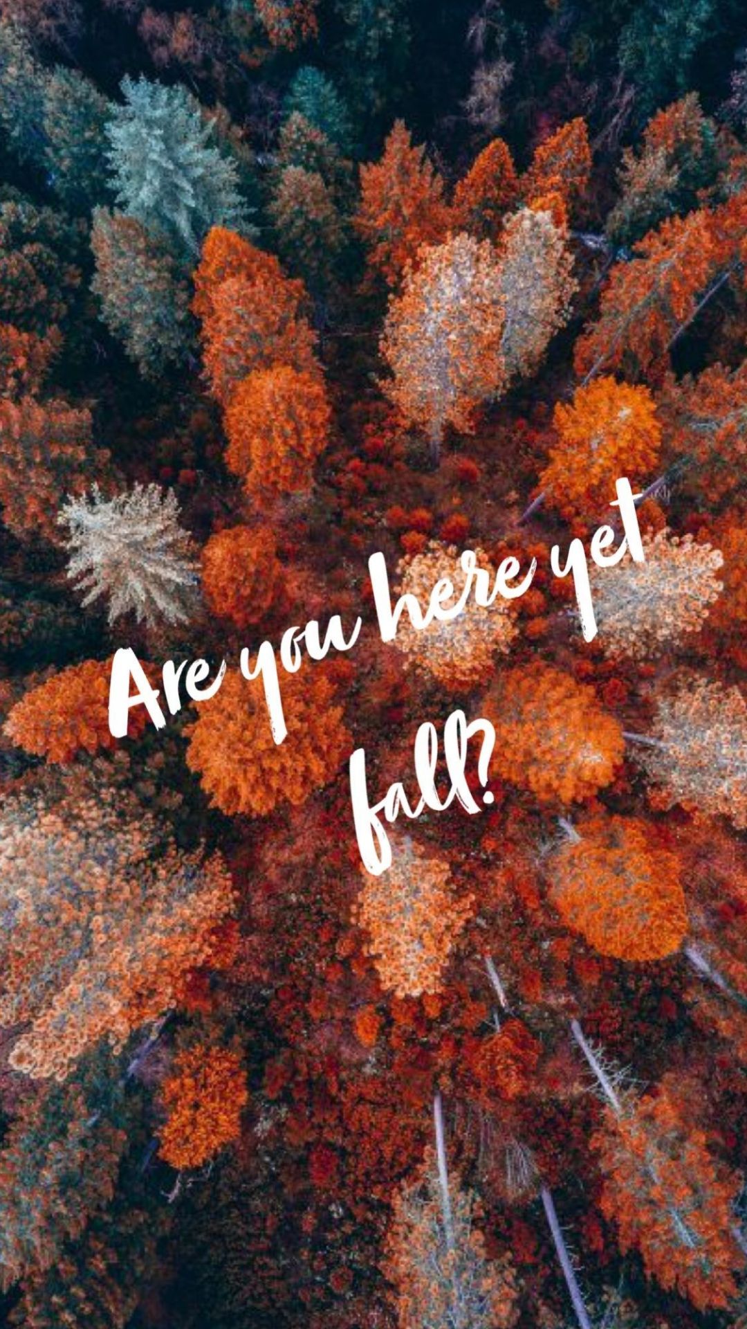 Hello Autumn Wallpapers