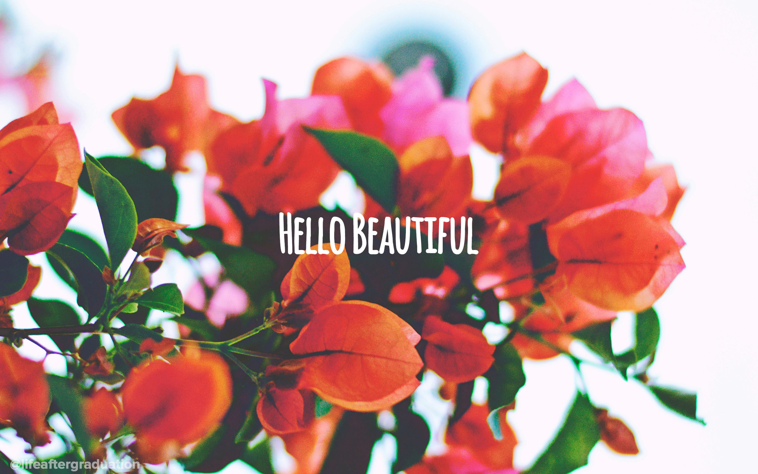 Hello Beautiful Wallpapers