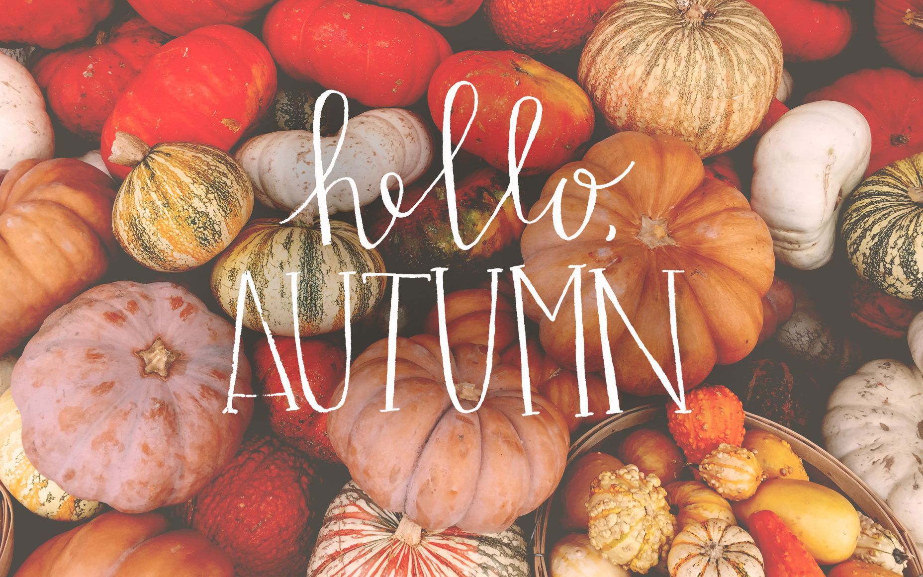 Hello Fall Background