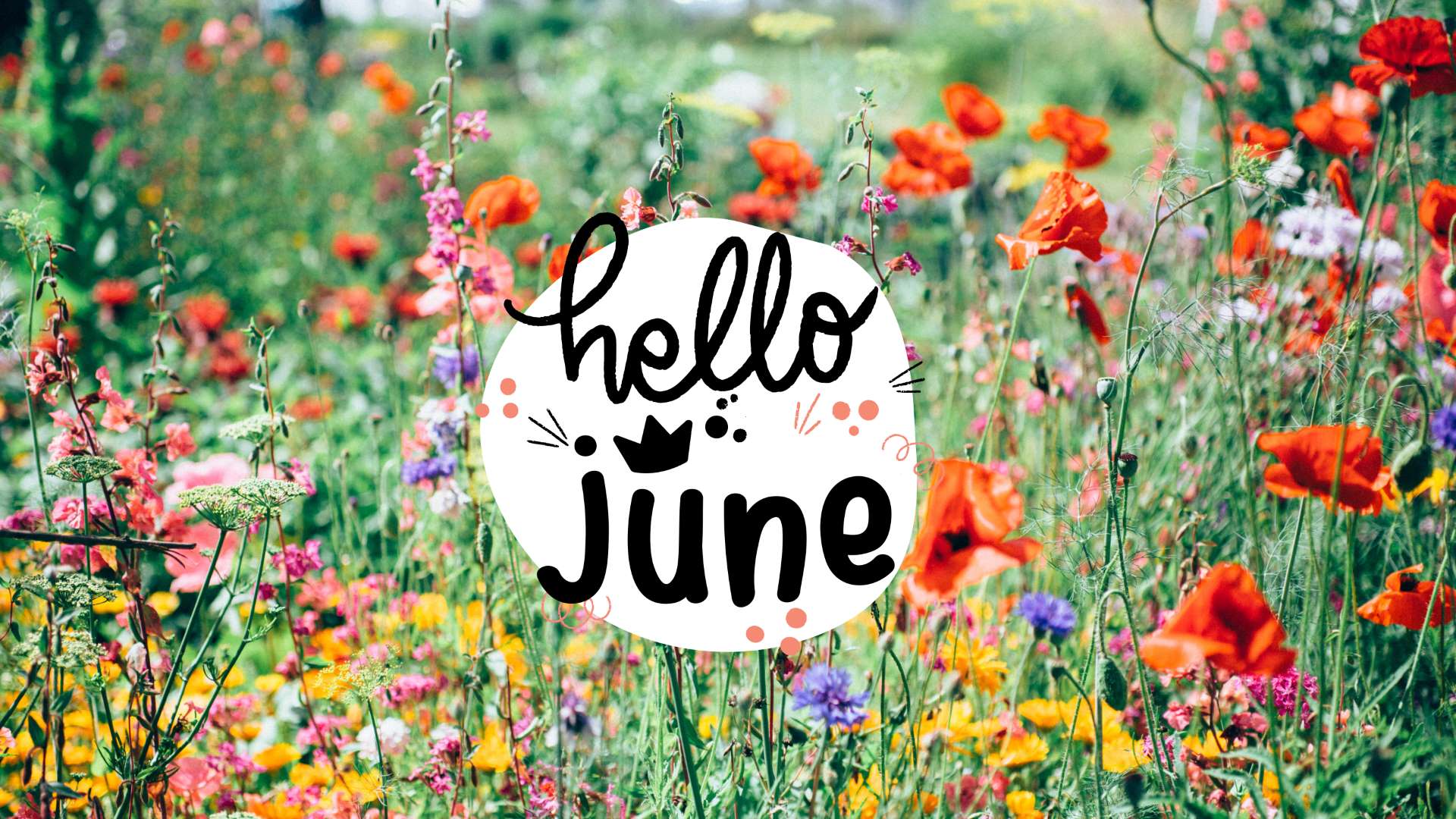 Hello June Wallpapers