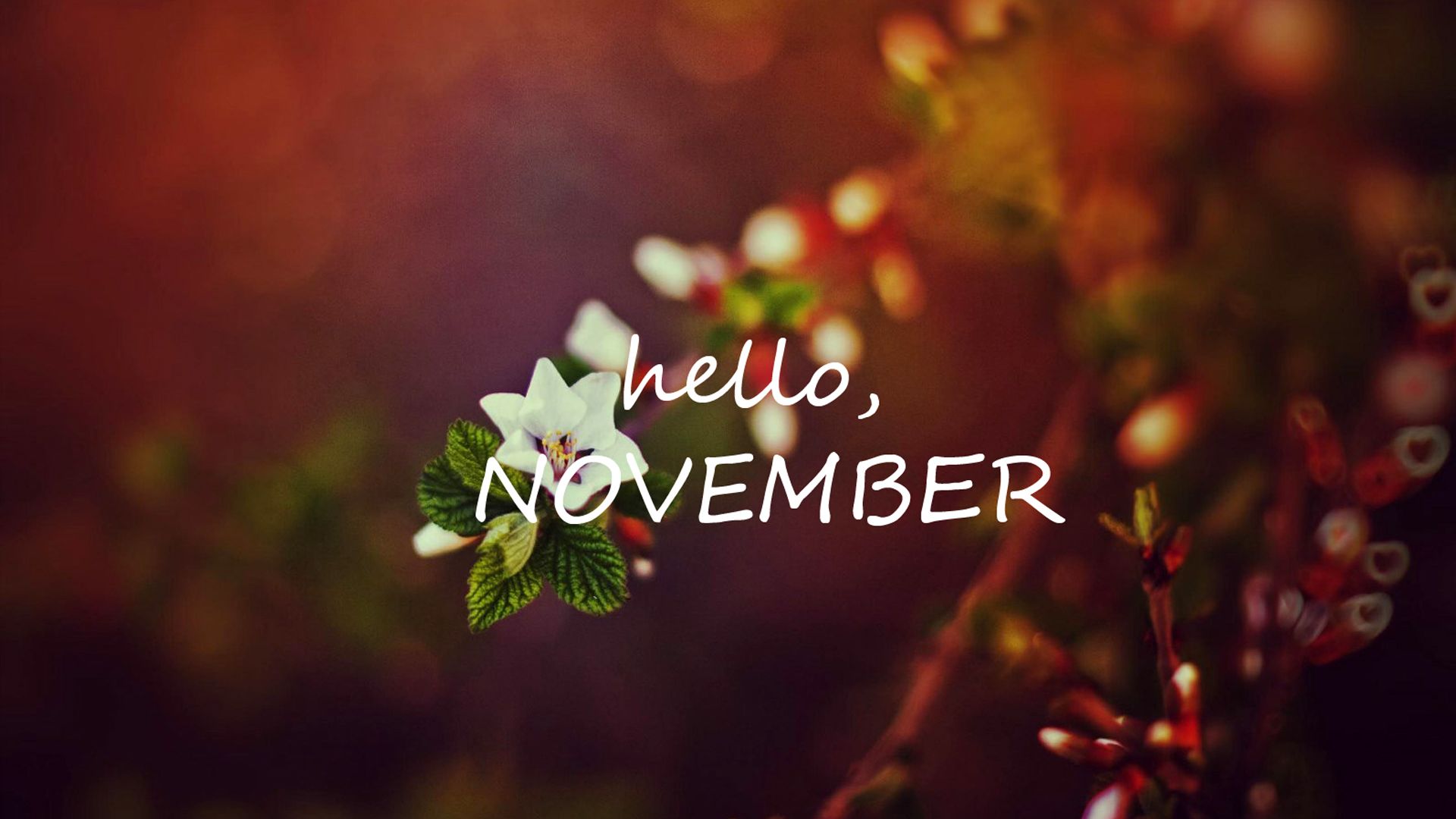 Hello November Image Wallpapers