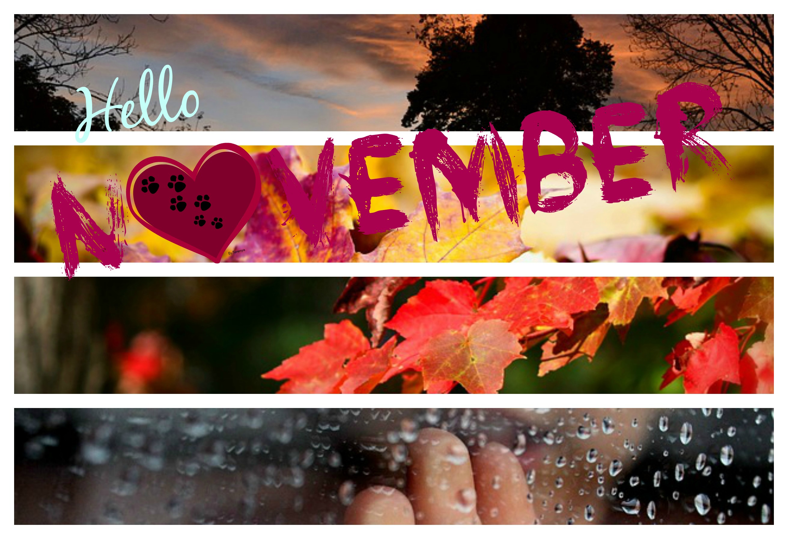 Hello November Image Wallpapers