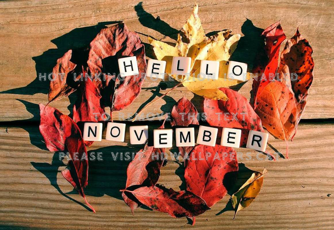 Hello November Image Wallpapers