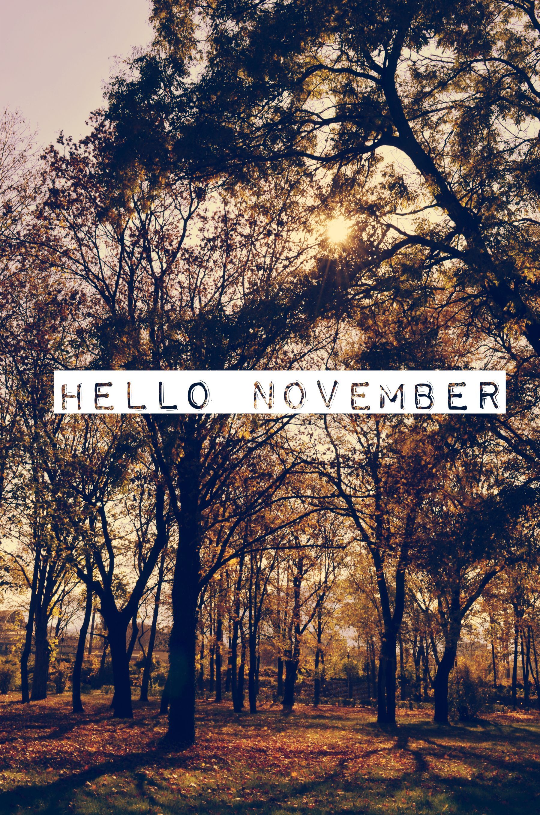 Hello November Image Wallpapers