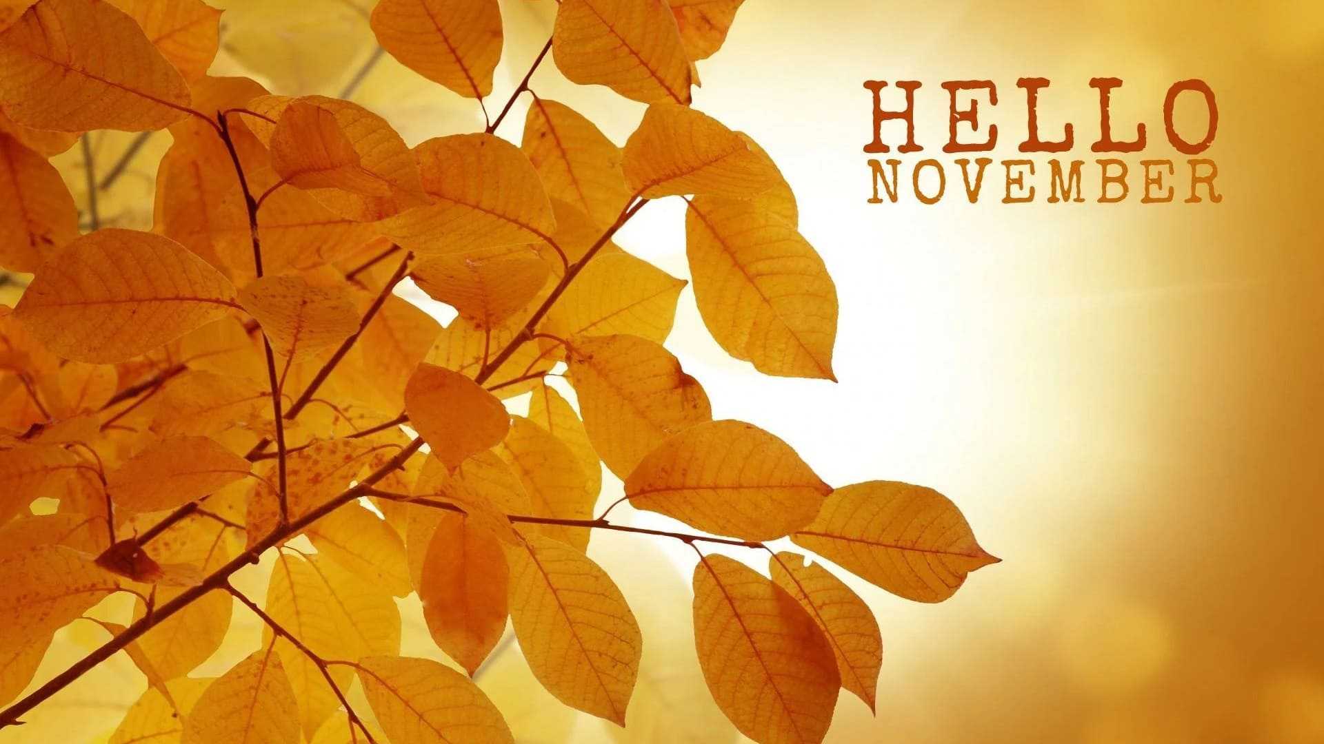 Hello November Image Wallpapers