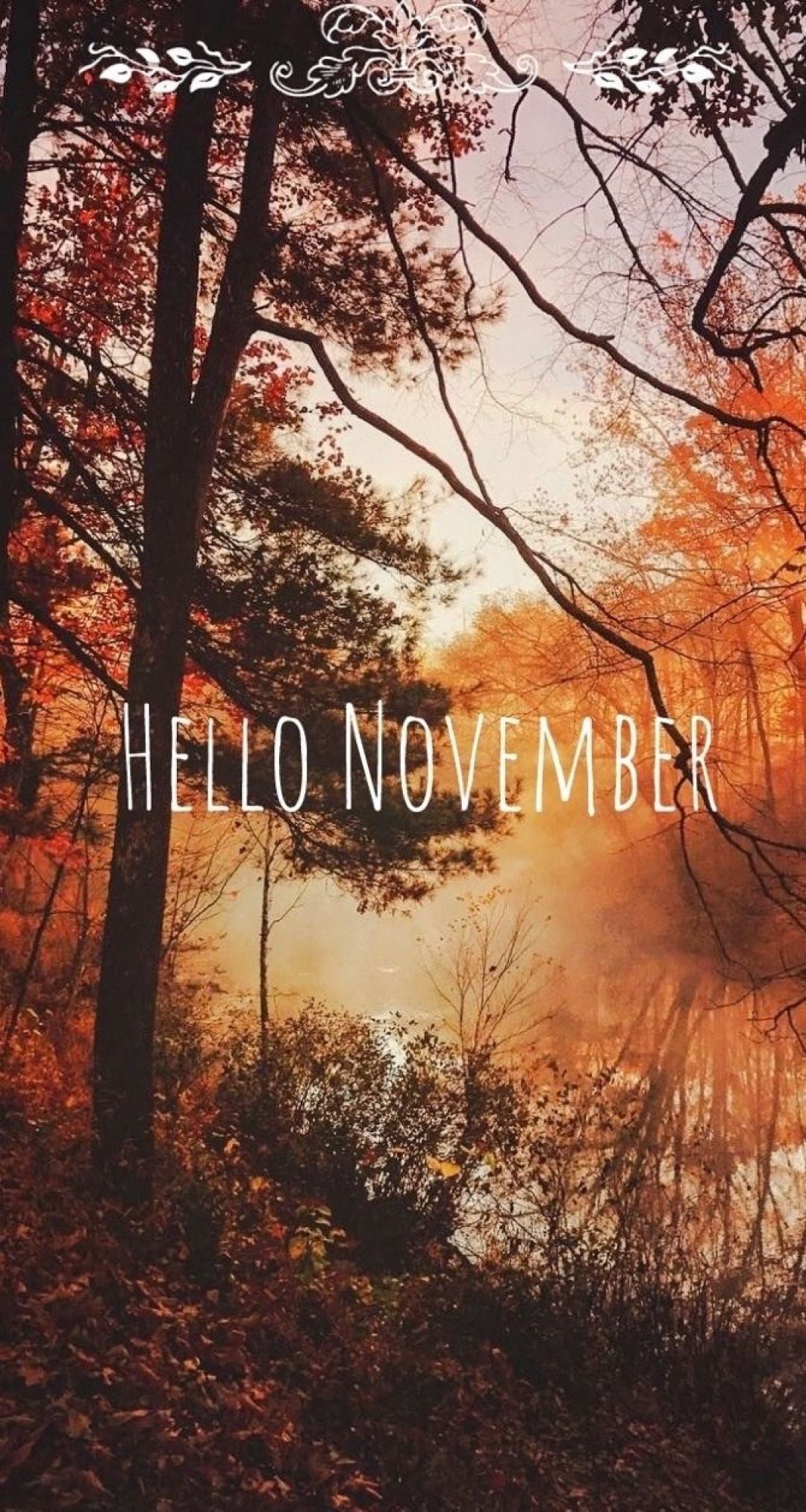 Hello November Image Wallpapers