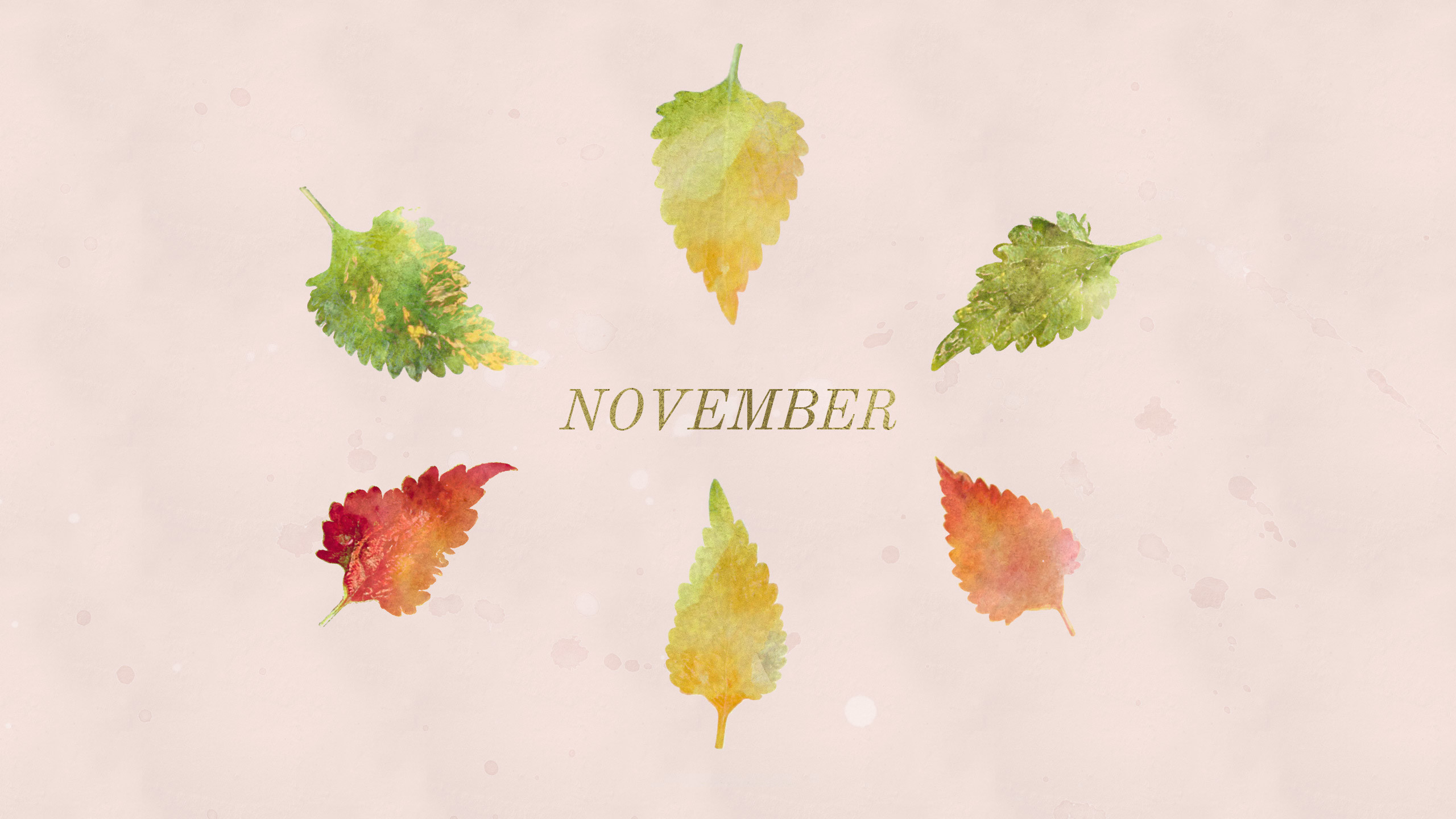 Hello November Image Wallpapers