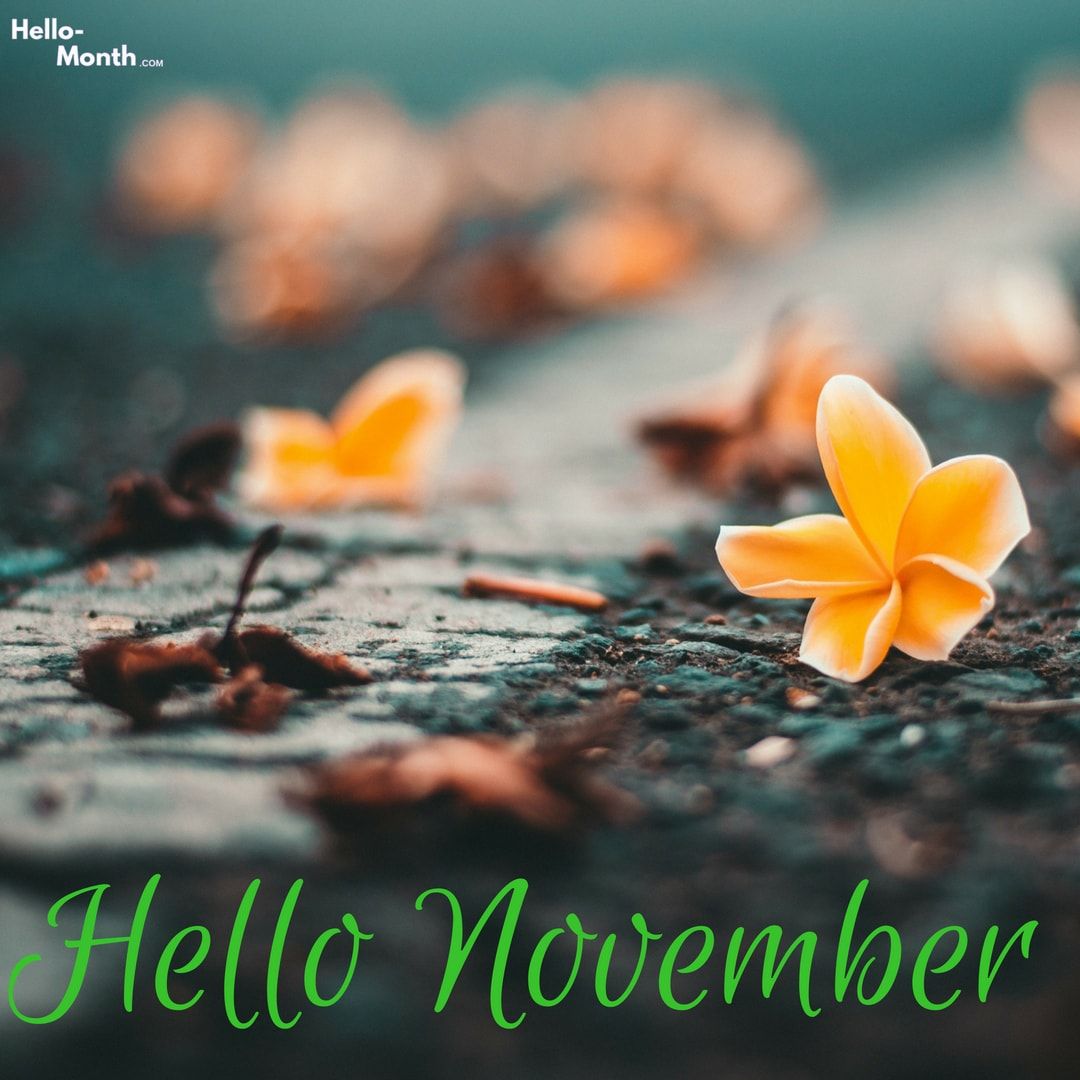 Hello November Image Wallpapers