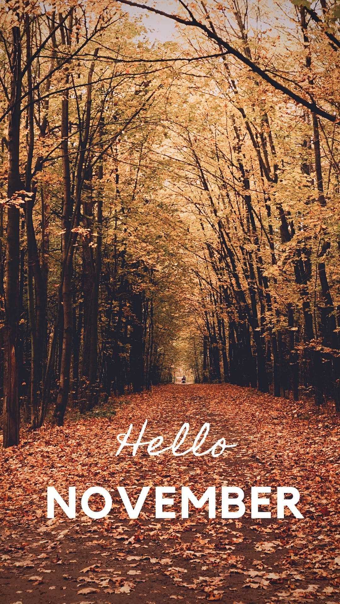 Hello November Wallpapers