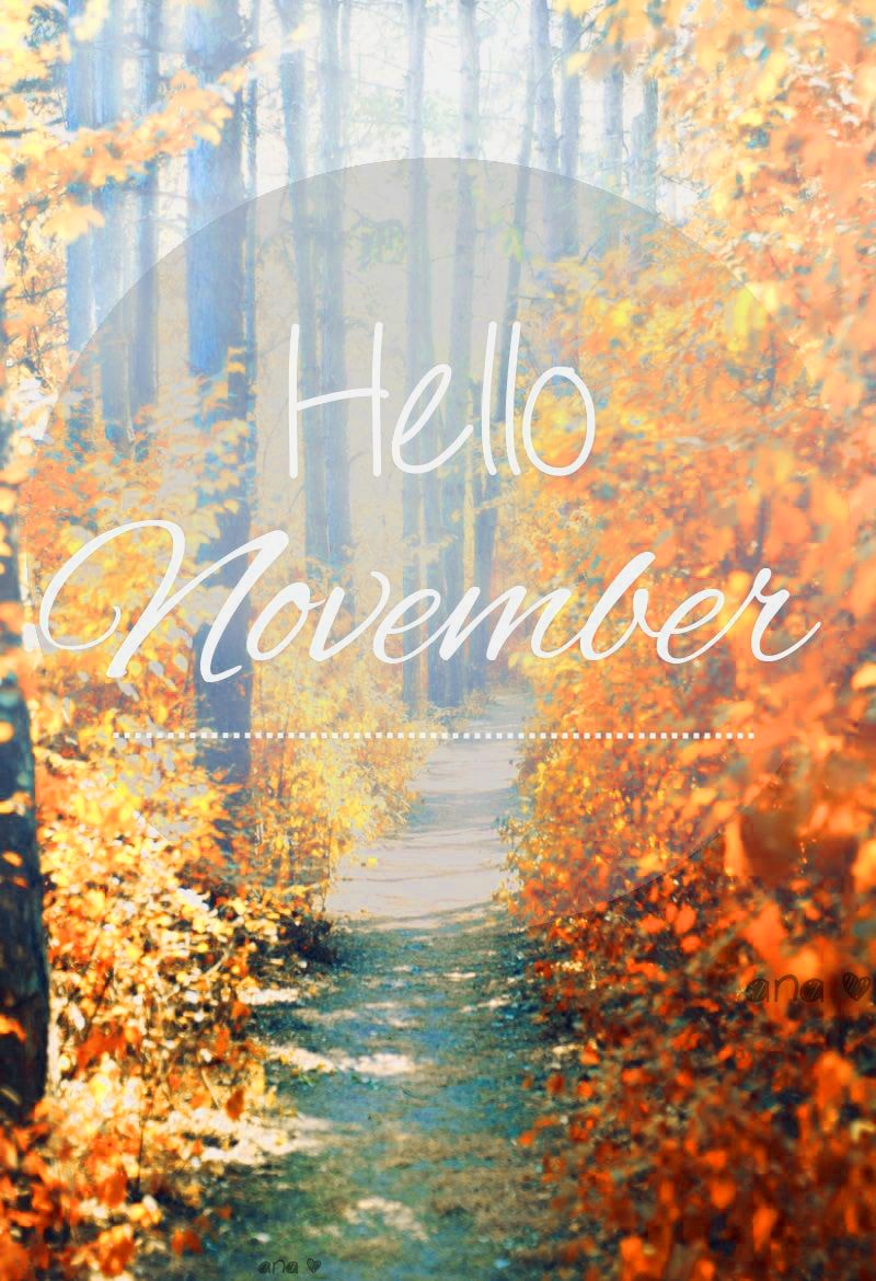 Hello November Wallpapers