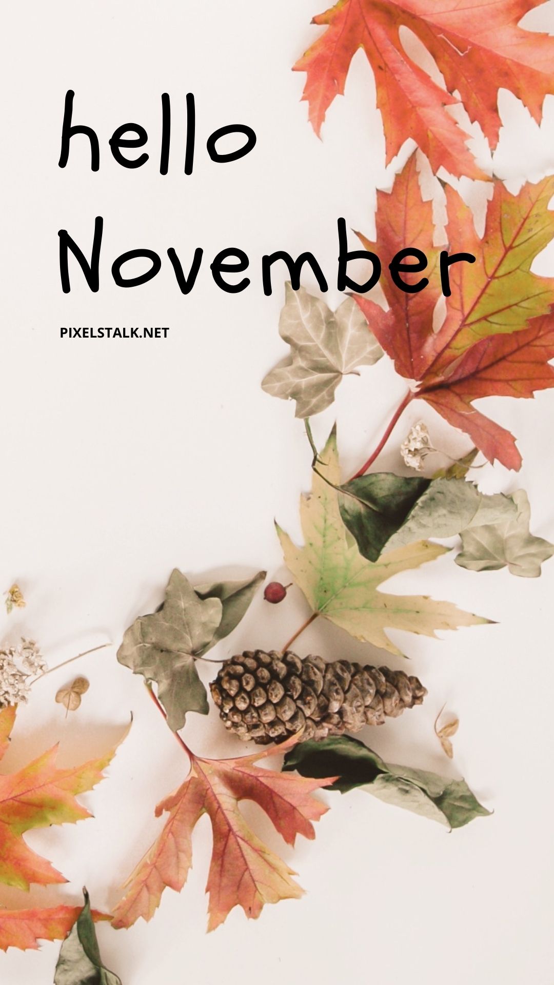 Hello November Wallpapers