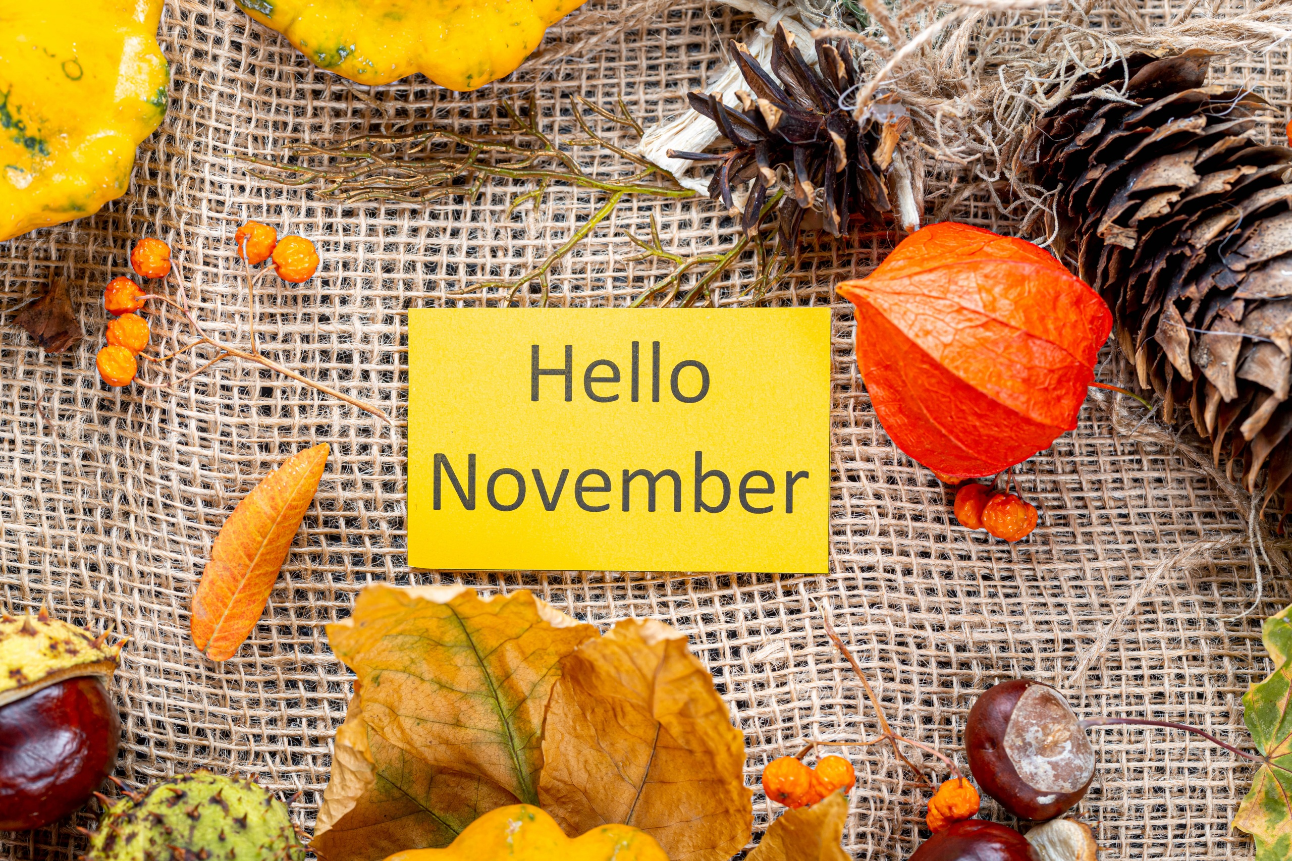 Hello November Wallpapers