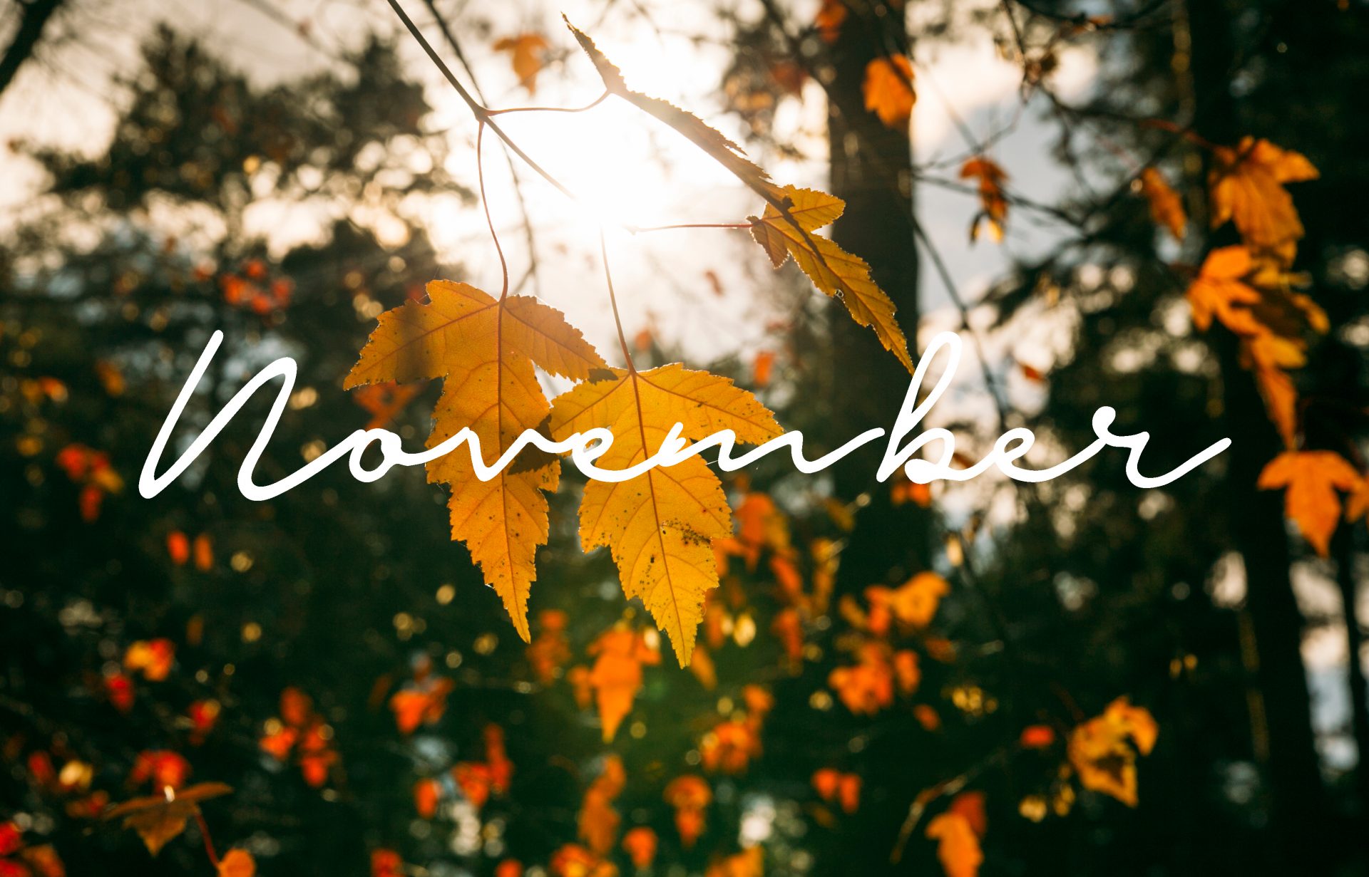 Hello November Wallpapers