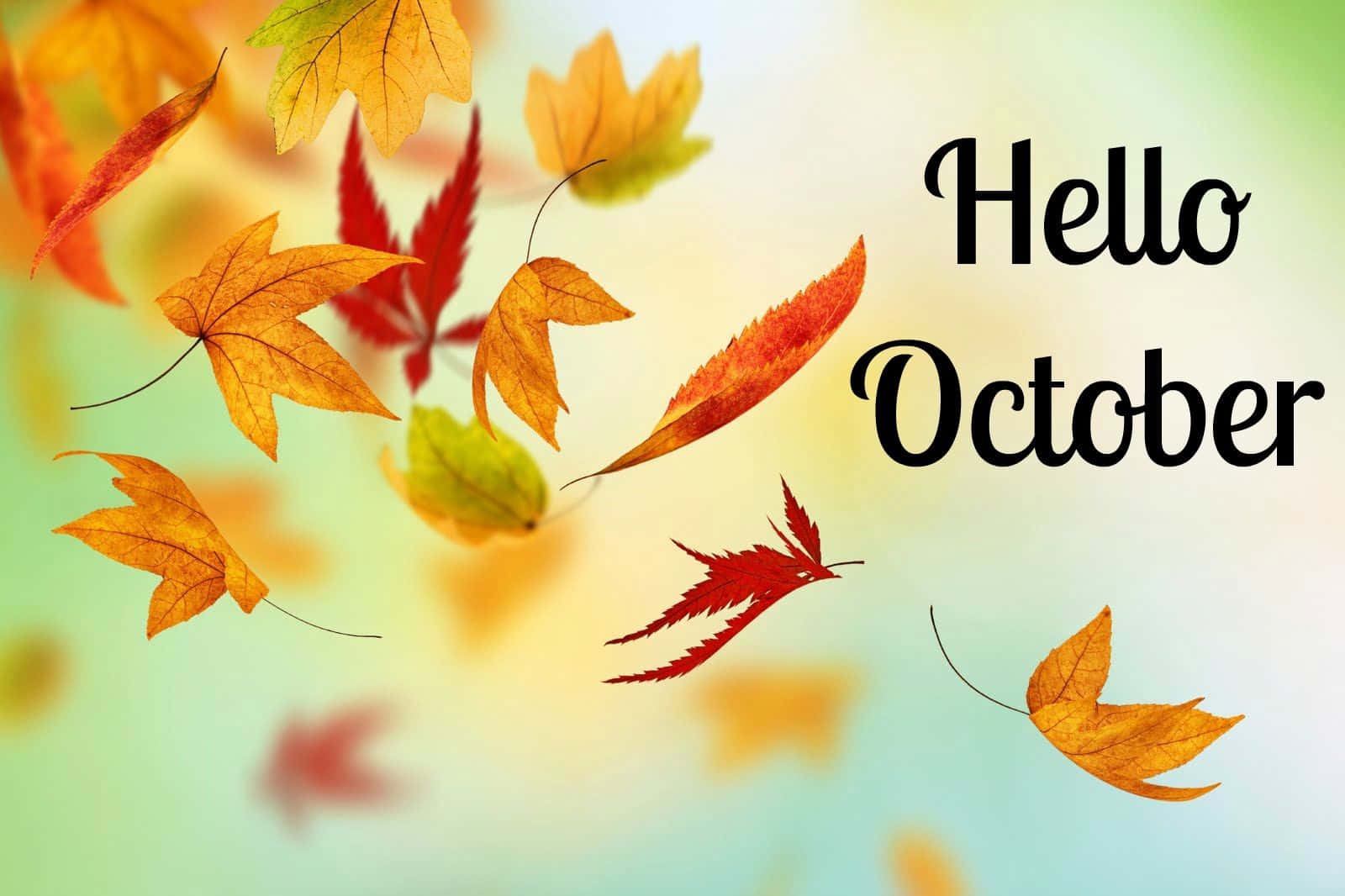 Hello October Wallpapers