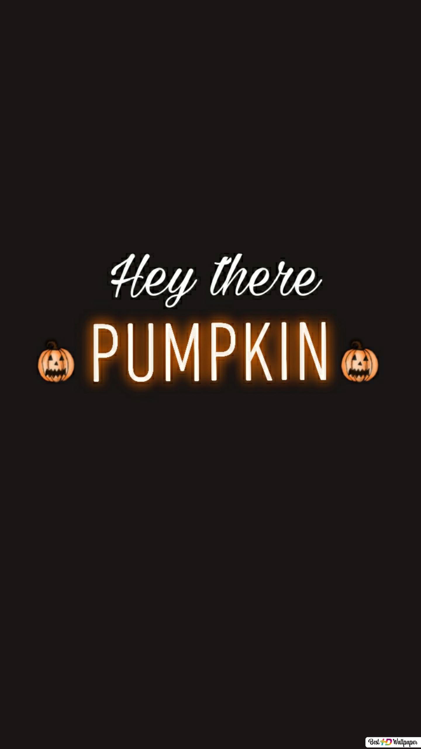 Hello Pumpkin Wallpapers