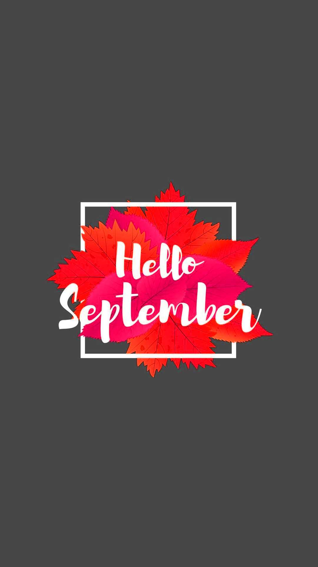 Hello September Images Wallpapers