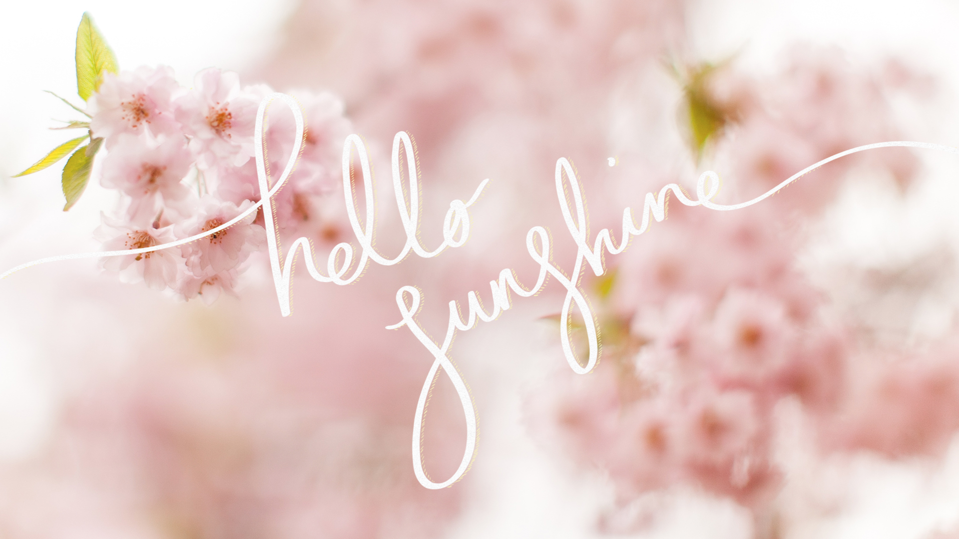 Hello Sunshine Wallpapers