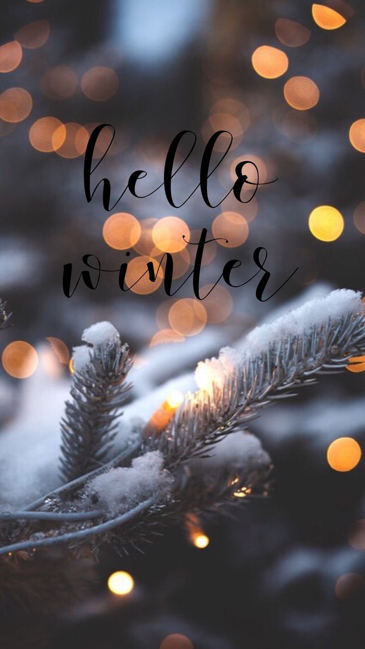 Hello Winter Wallpapers