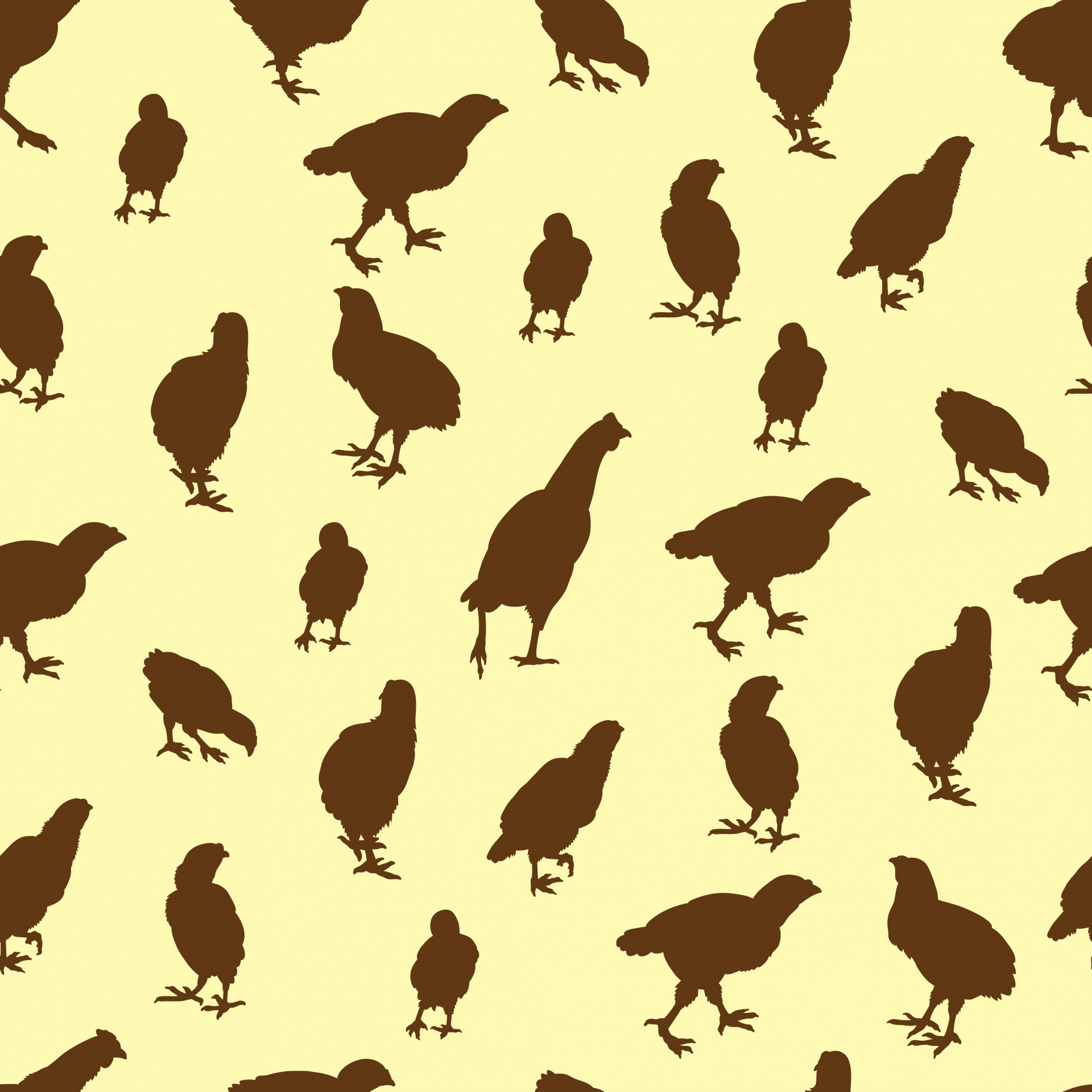 Hen Wallpapers