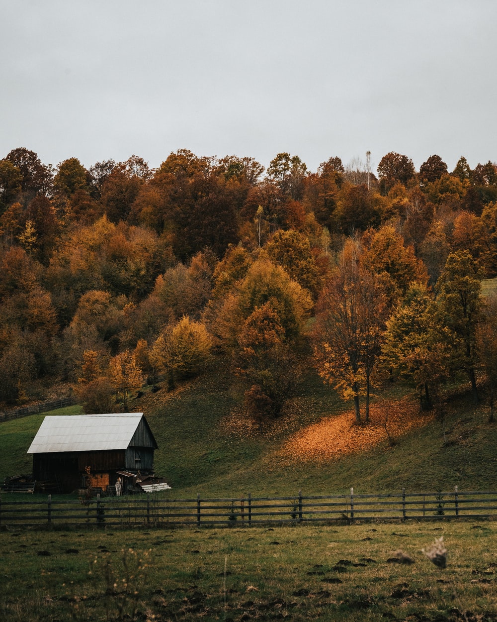 Hensley Settlement Wallpapers