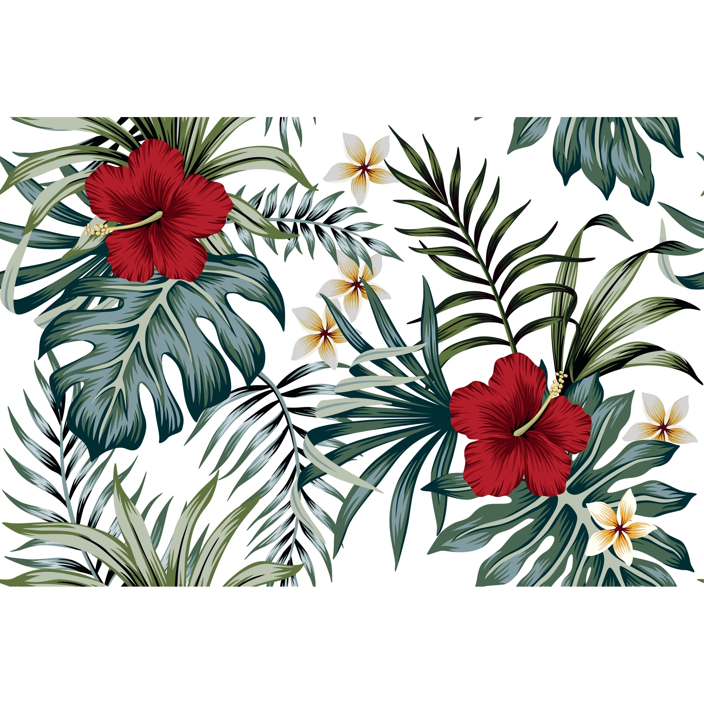 Hibiscus Wallpapers