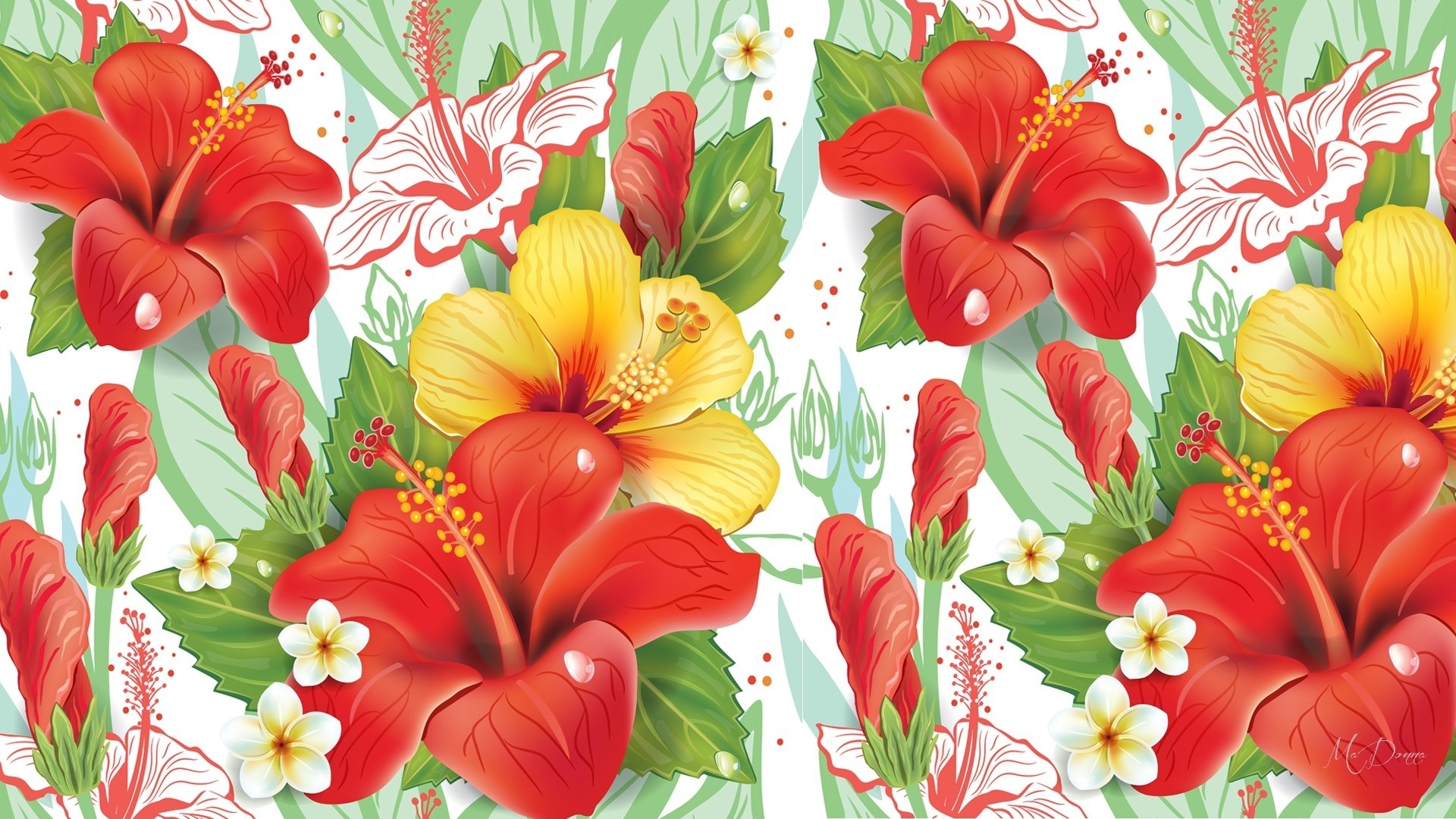 Hibiscus Wallpapers