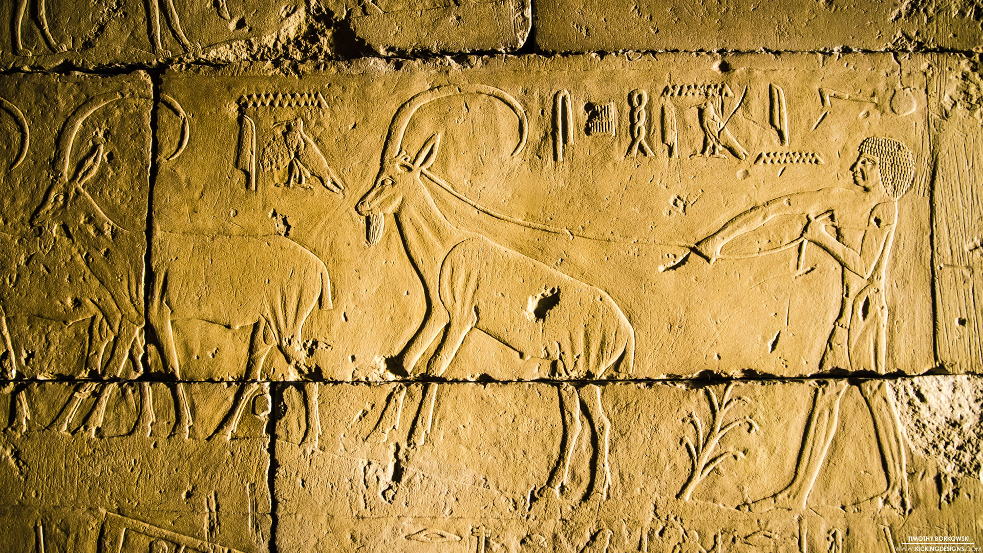 Hieroglyphs Wallpapers