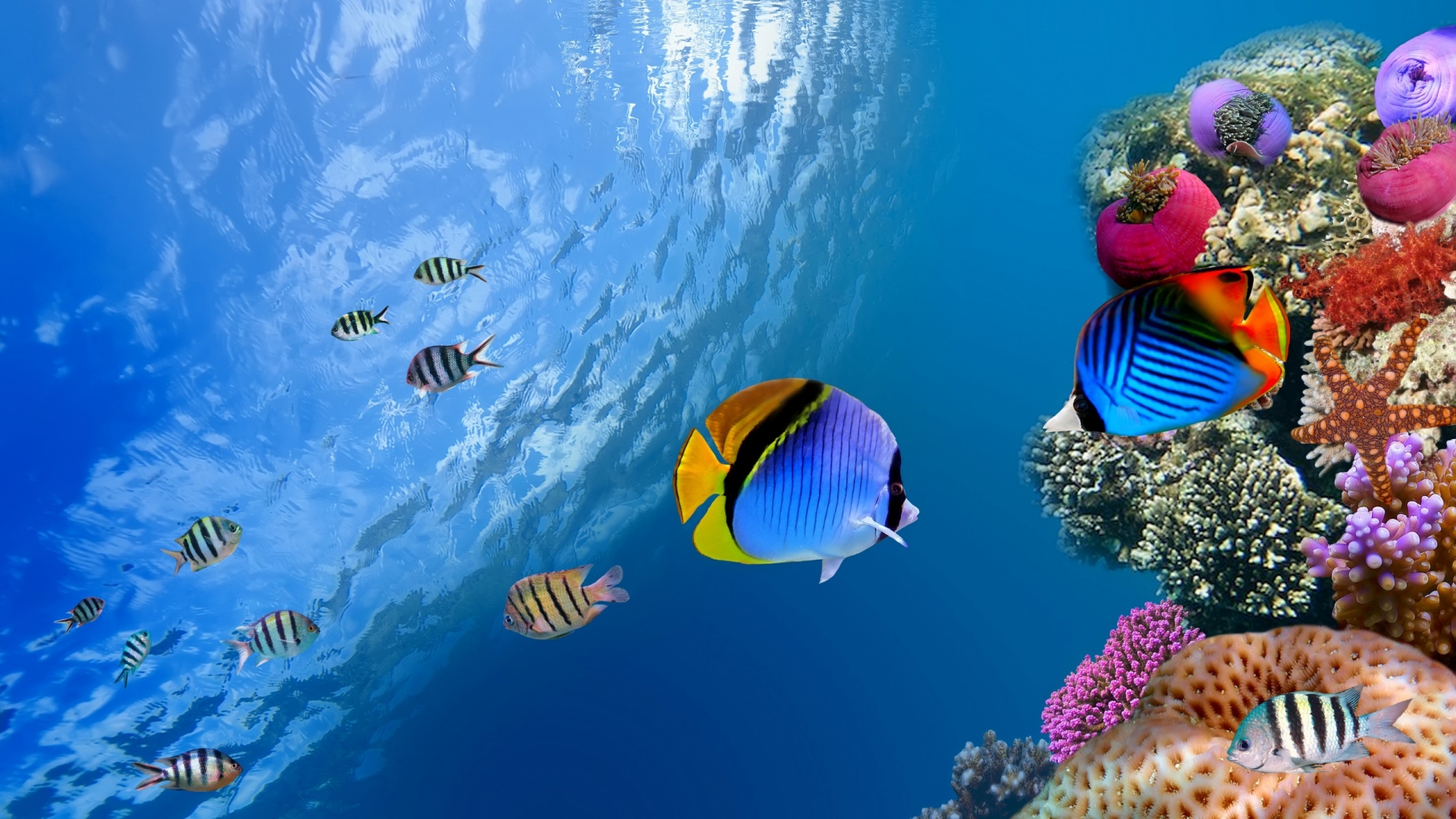 High Definition Ocean Wallpapers