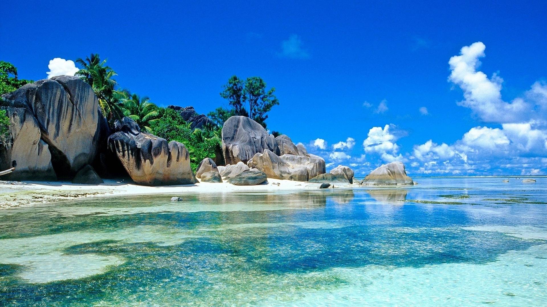 High Definition Tropical Wallpapers