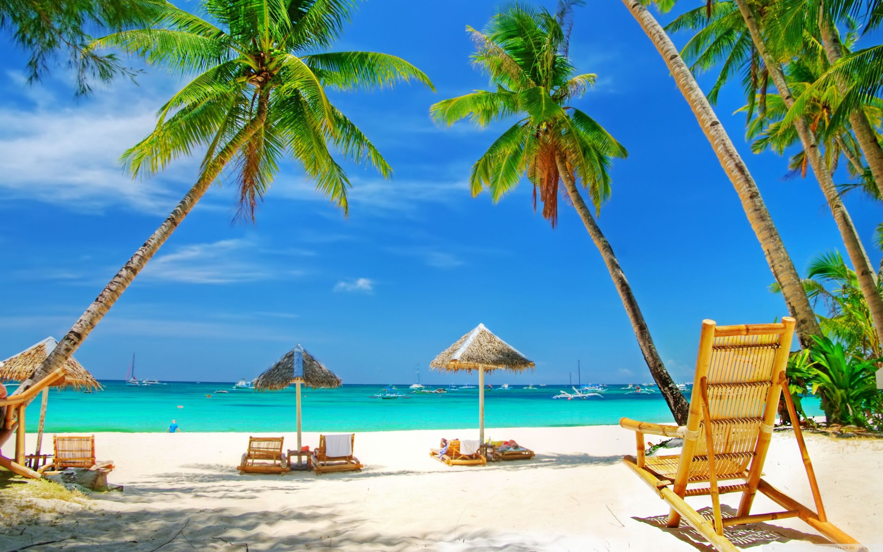 High Definition Tropical Wallpapers