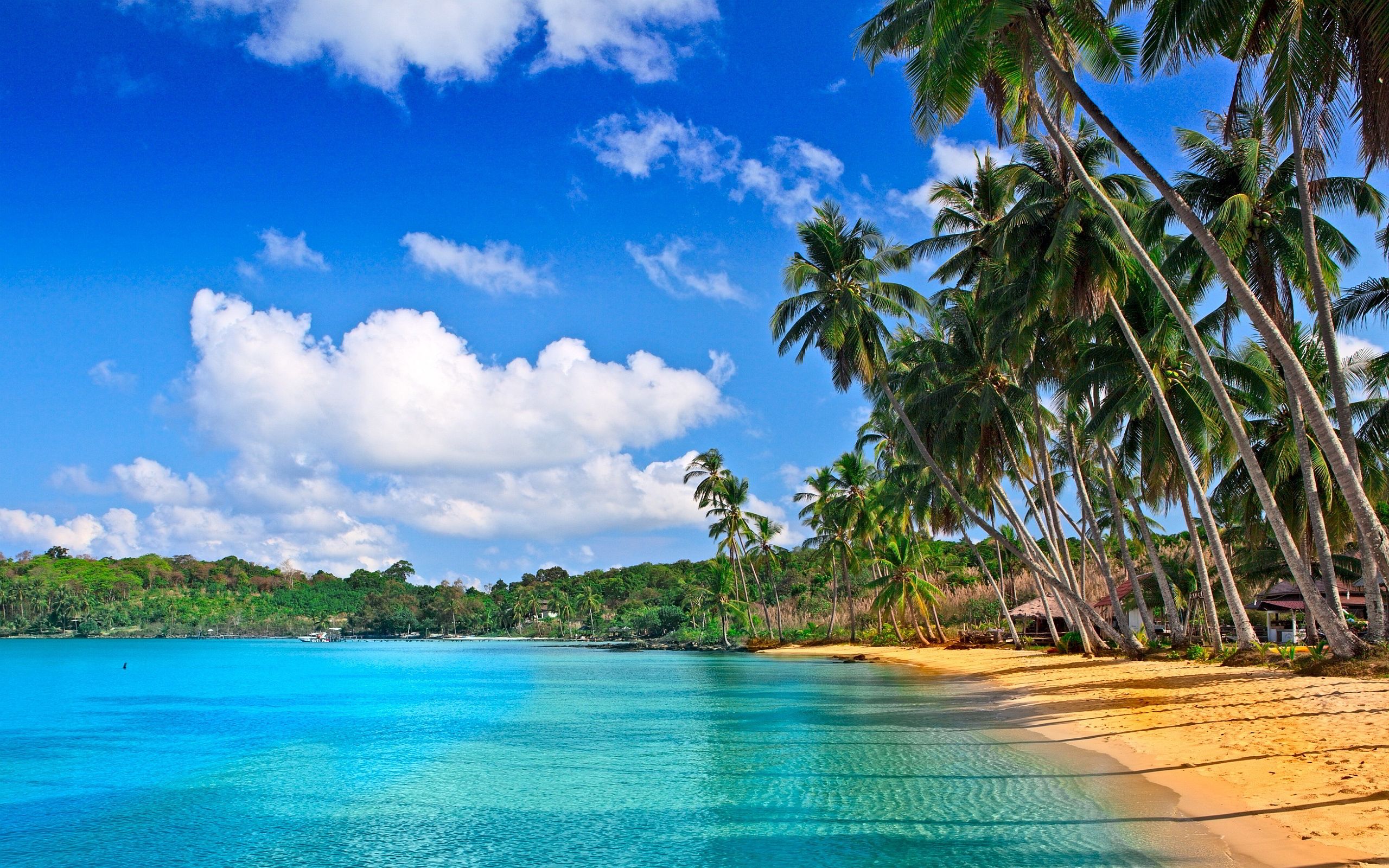 High Definition Tropical Wallpapers