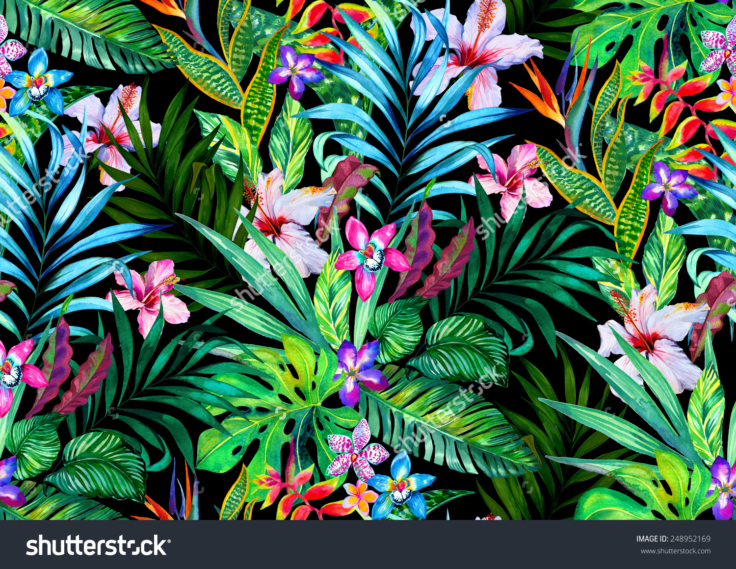 High Definition Tropical Wallpapers