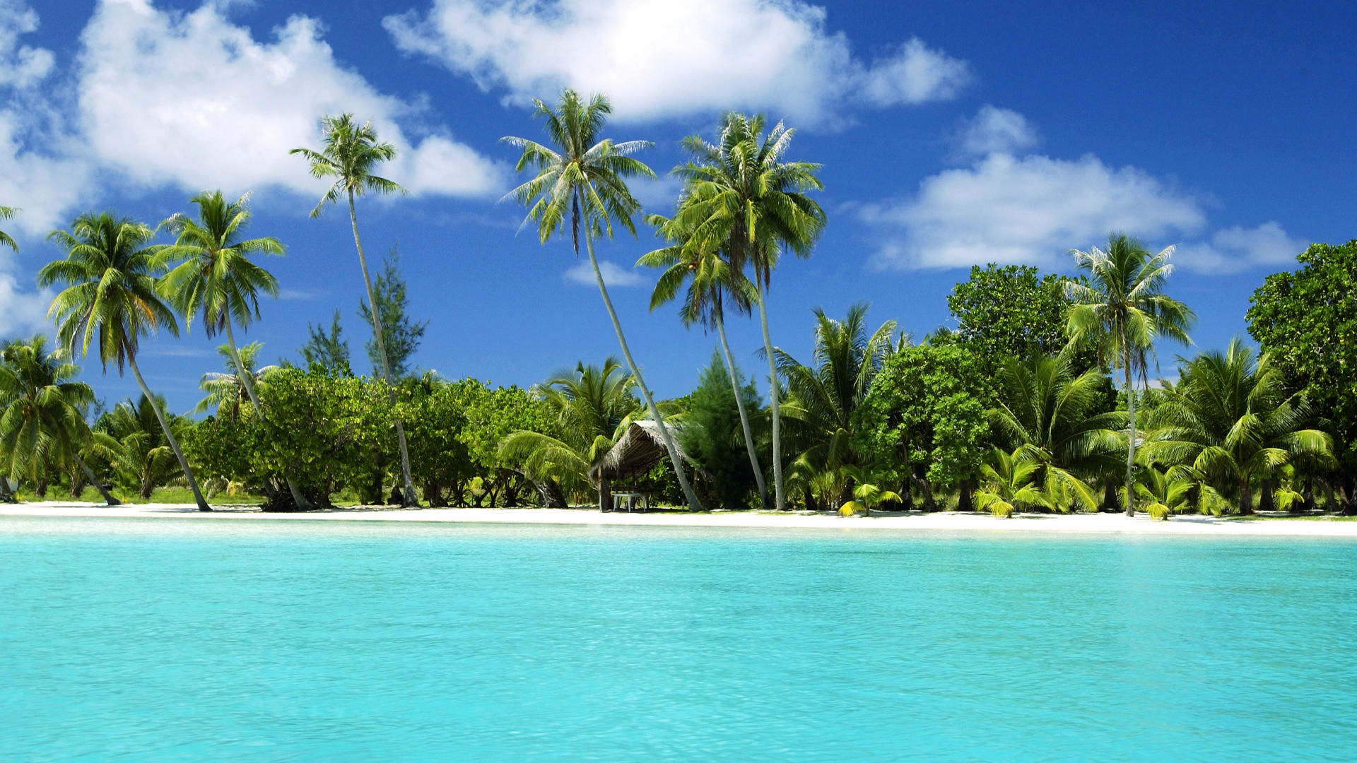 High Definition Tropical Wallpapers